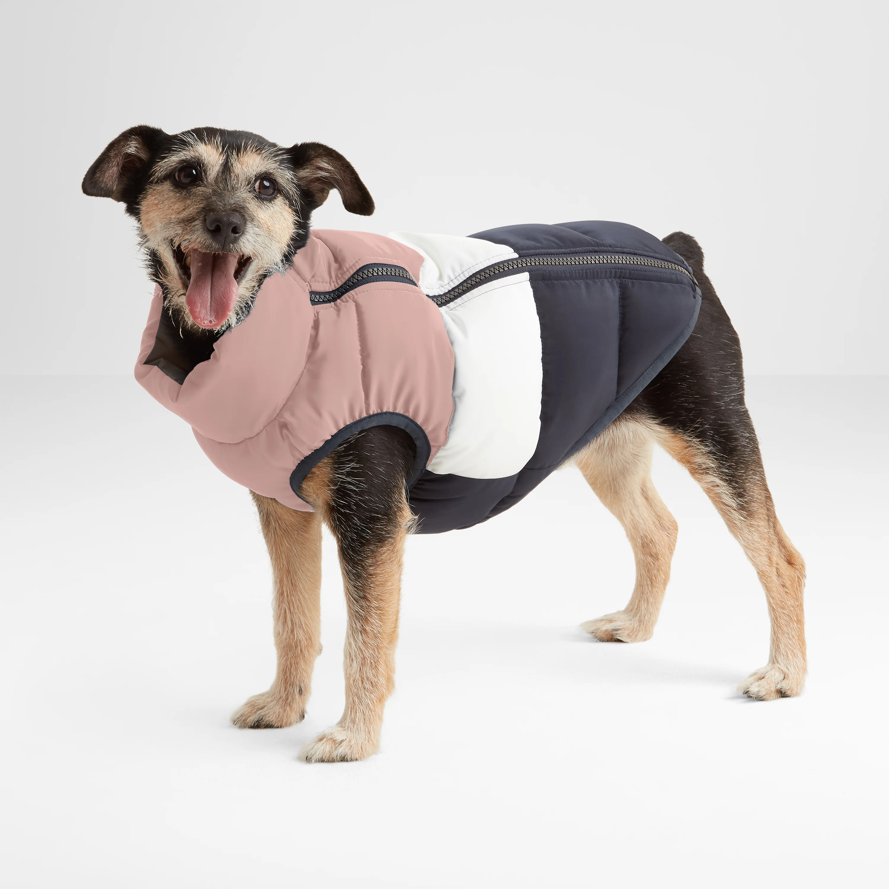 Fetch Padded Dog Coat M - Faded Pink/Ice Grey/Washed Blue - Image 3