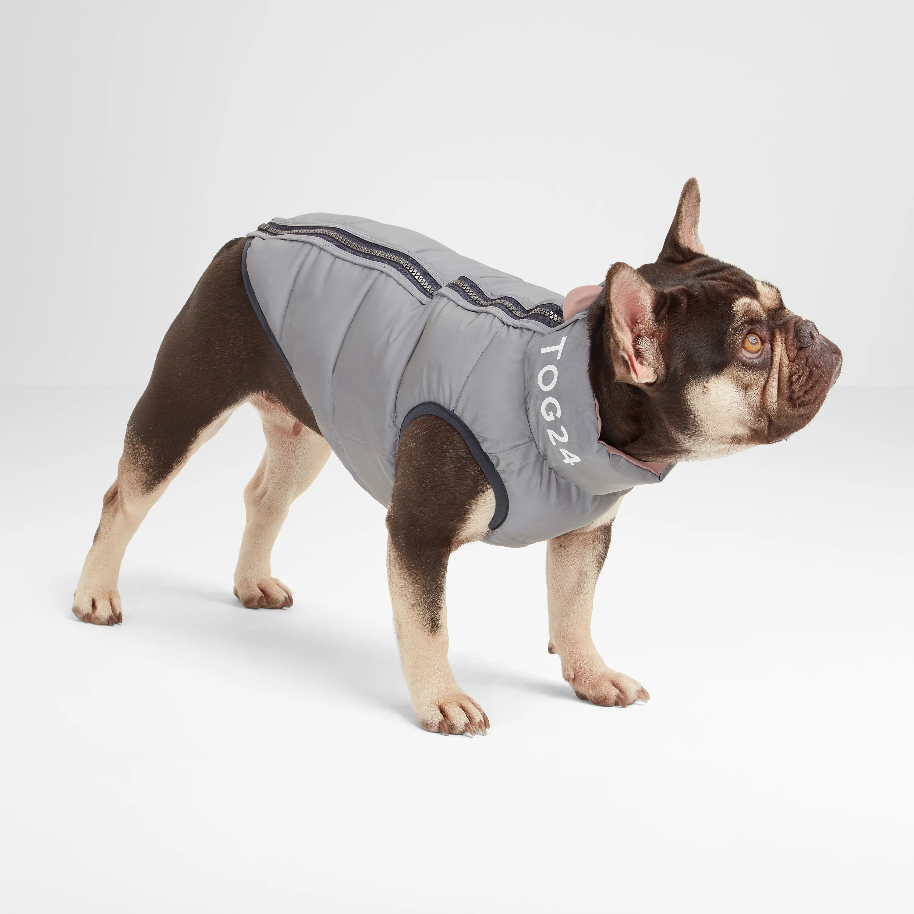 Fetch Padded Dog Coat XS - Faded Pink/Ice Grey/Washed Blue - Image 3