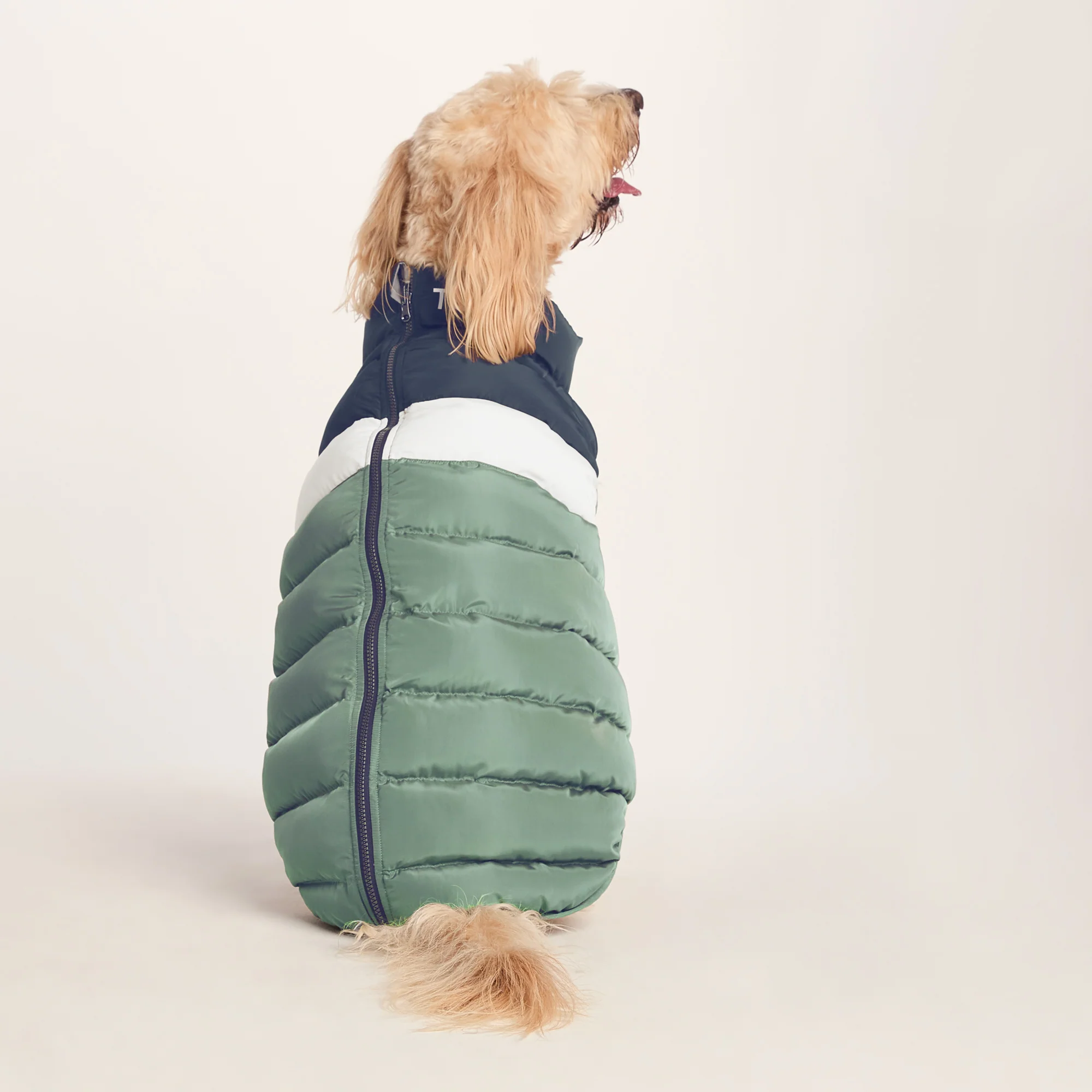 Fetch Padded Dog Coat L - Dark Indigo/Vanilla/Light Forest - Image 2