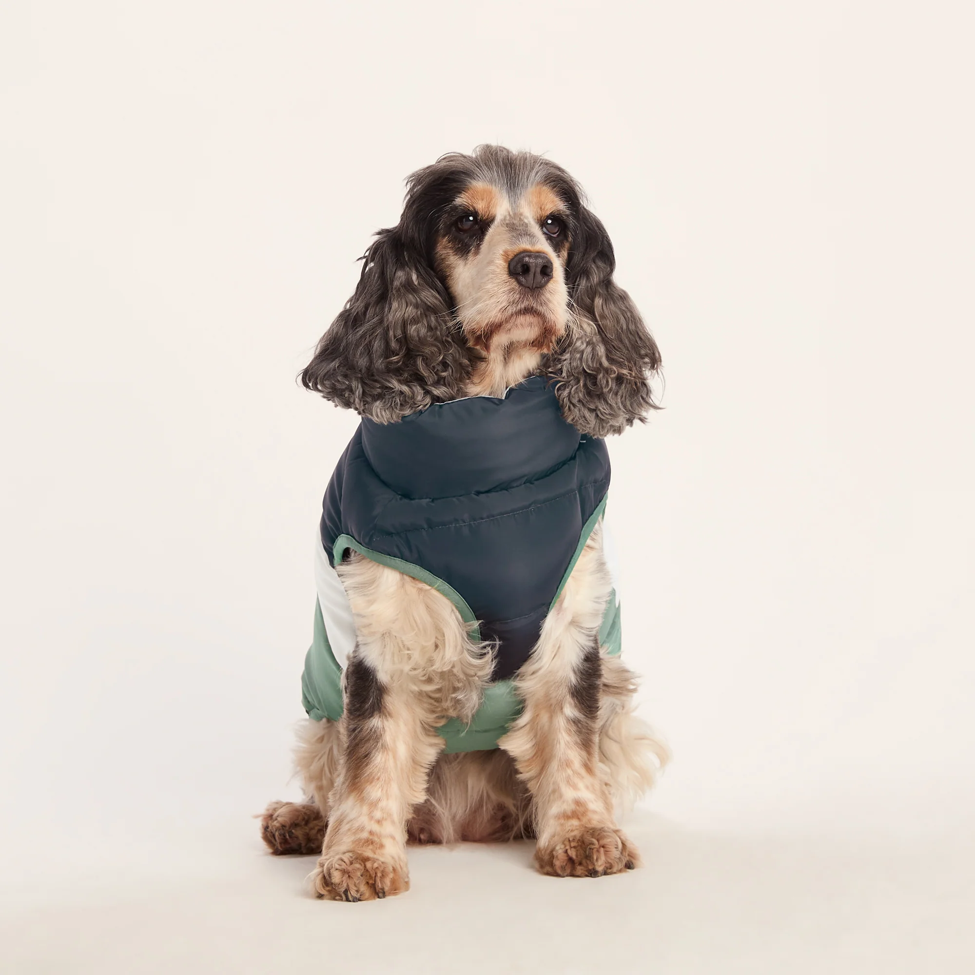 Fetch Padded Dog Coat M - Dark Indigo/Vanilla/Light Forest