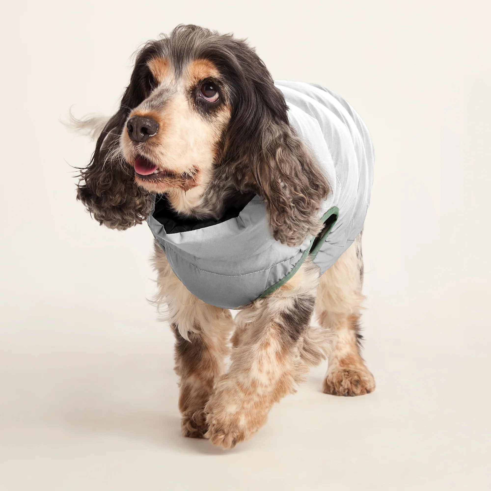 Fetch Padded Dog Coat M - Dark Indigo/Vanilla/Light Forest - Image 6