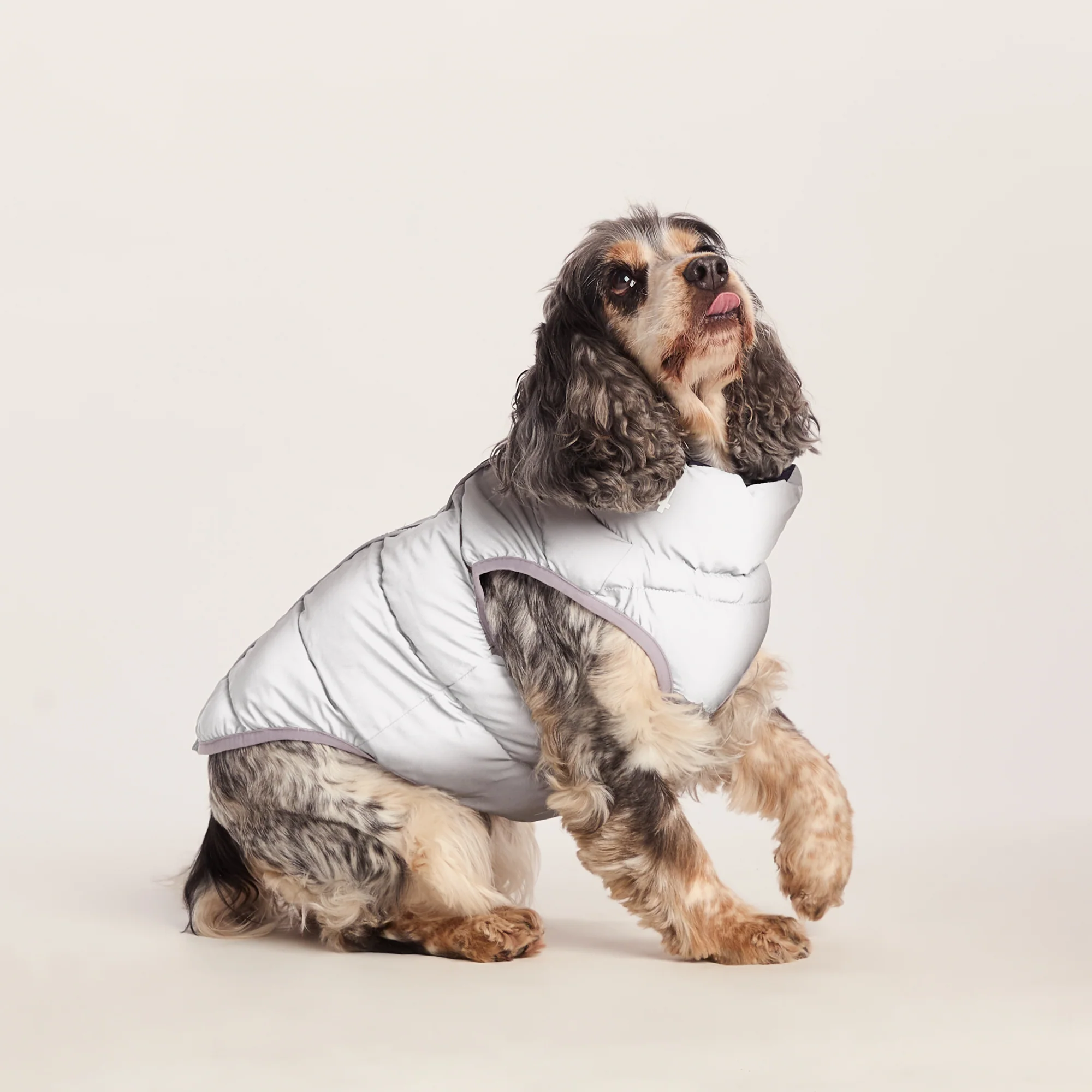 Fetch Padded Dog Coat M - Oxford Blue/Light Mist/Lavender Grey - Image 5