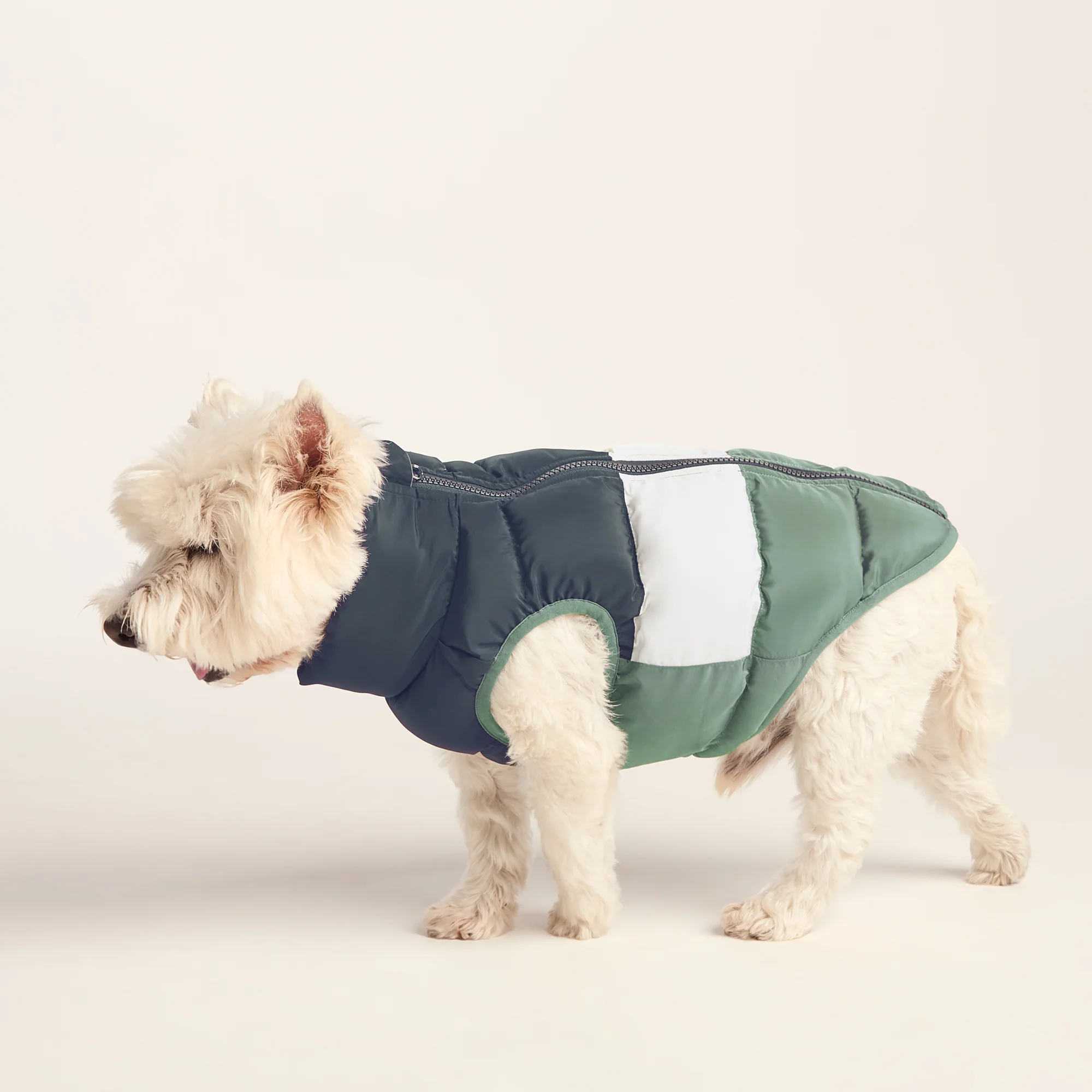 Fetch Padded Dog Coat S - Dark Indigo/Vanilla/Light Forest - Image 4