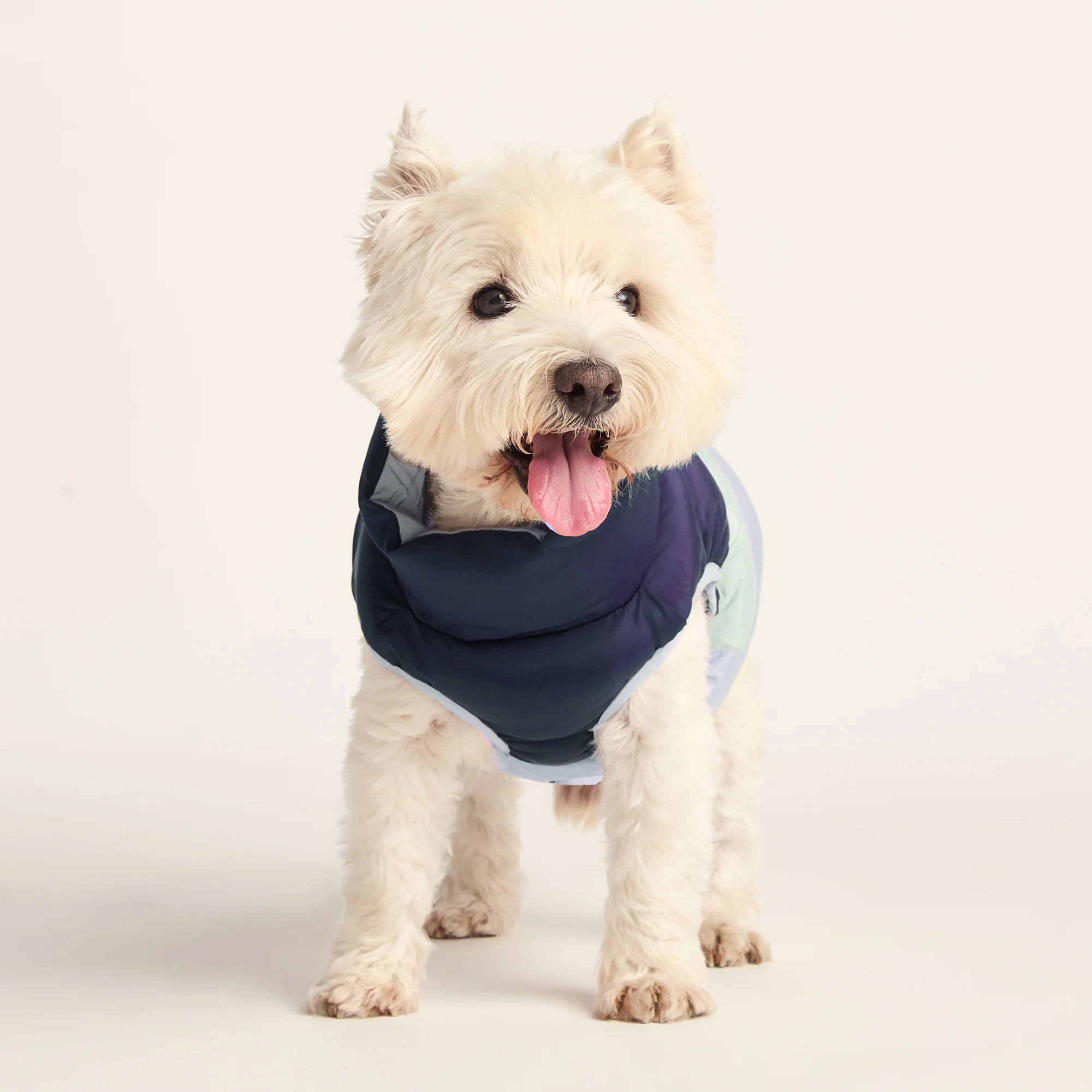 Fetch Padded Dog Coat S - Oxford Blue/Light Mist/Lavender Grey - Image 3