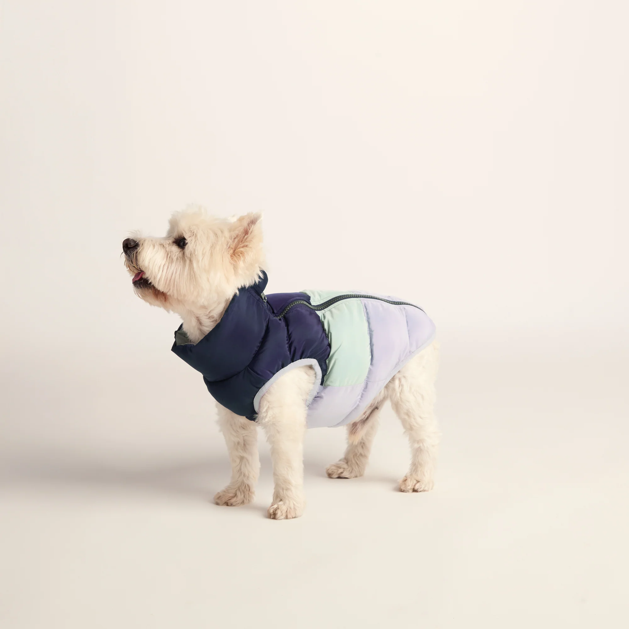 Fetch Padded Dog Coat S - Oxford Blue/Light Mist/Lavender Grey - Image 4