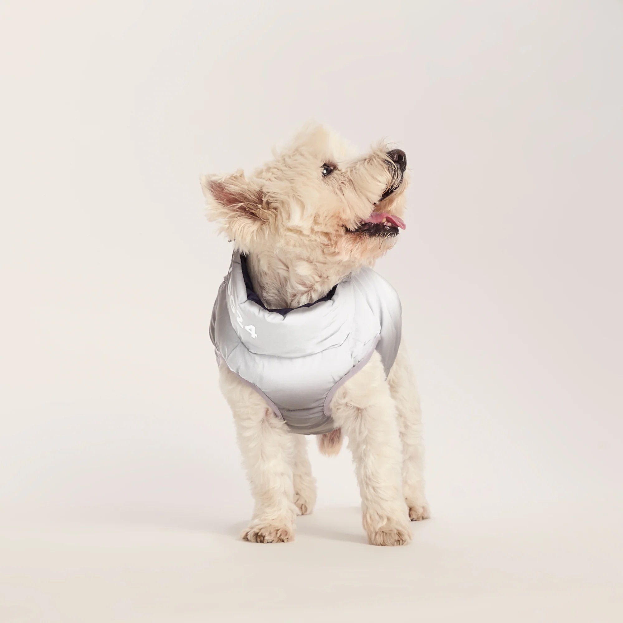 Fetch Padded Dog Coat S - Oxford Blue/Light Mist/Lavender Grey - Image 6