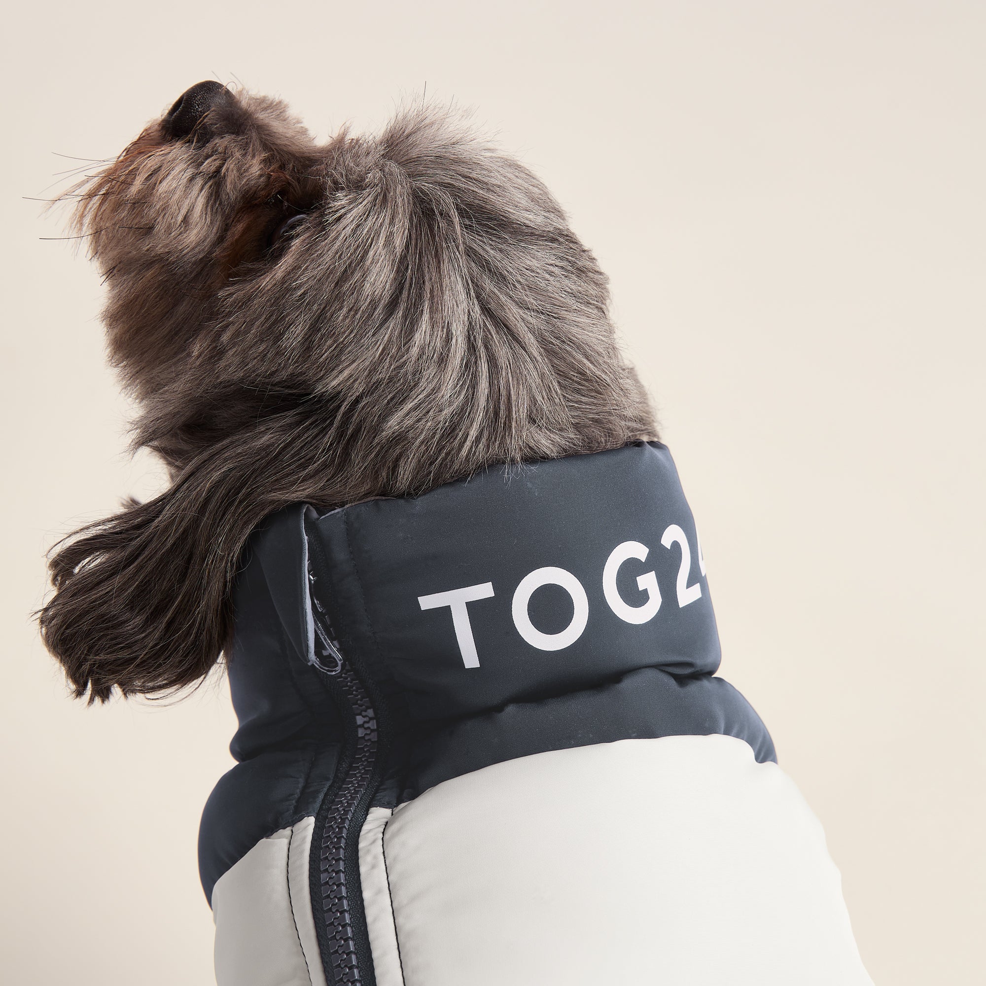 Fetch Padded Dog Coat XS - Dark Indigo/Vanilla/Light Forest - Image 5