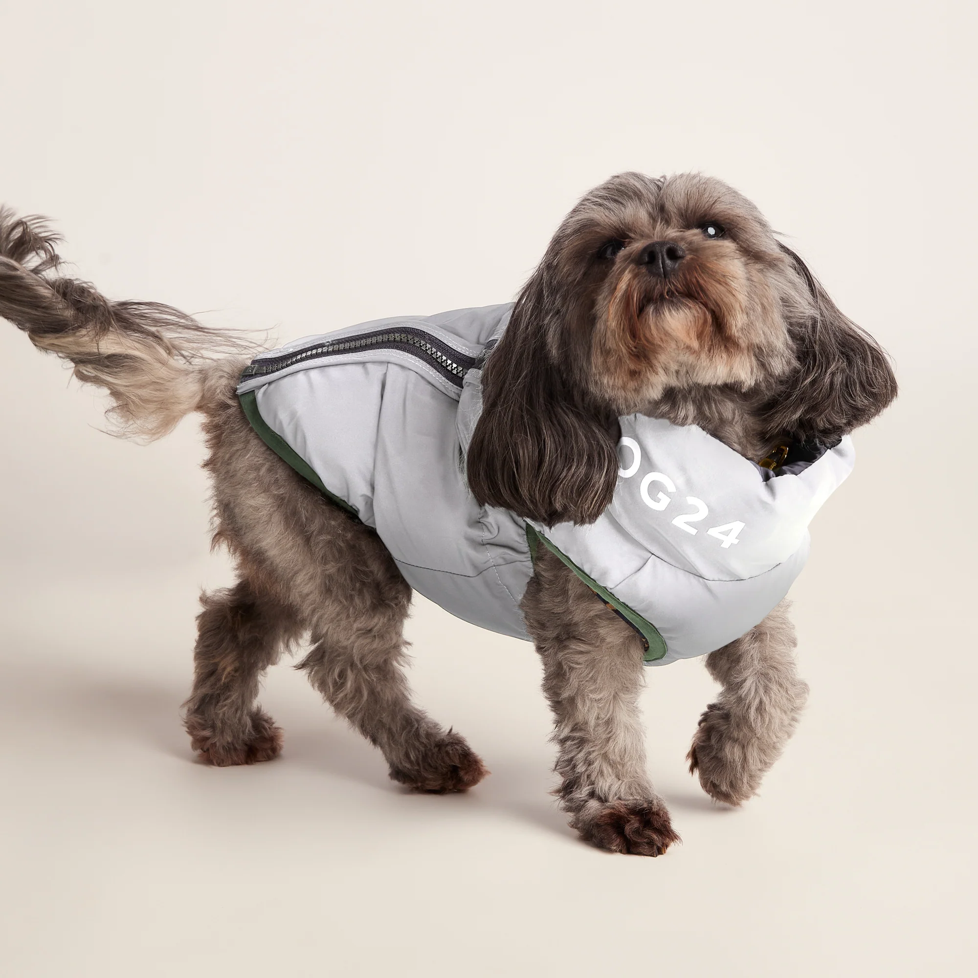 Fetch Padded Dog Coat XS - Dark Indigo/Vanilla/Light Forest - Image 6