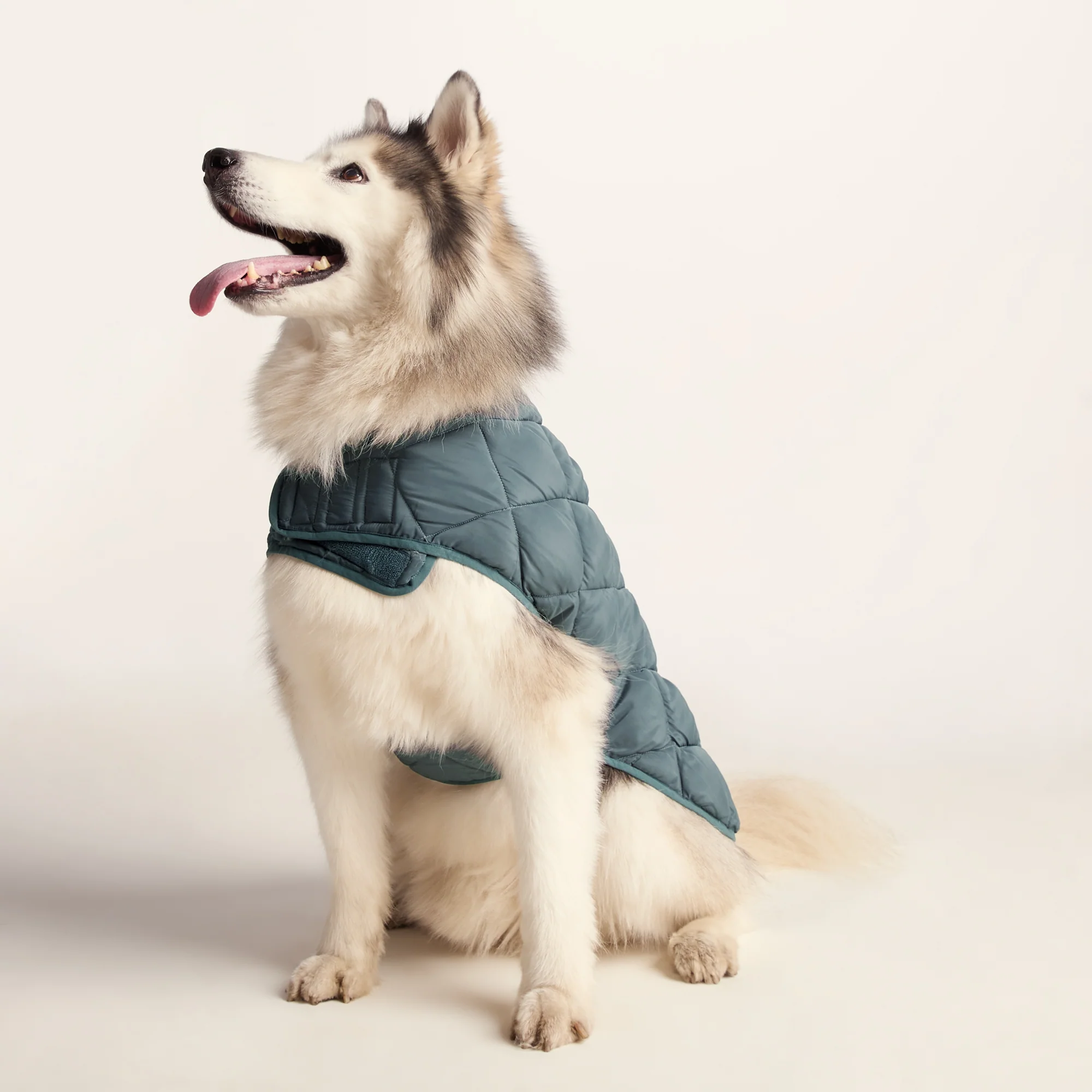 Fido Padded Dog Coat L - Graphite