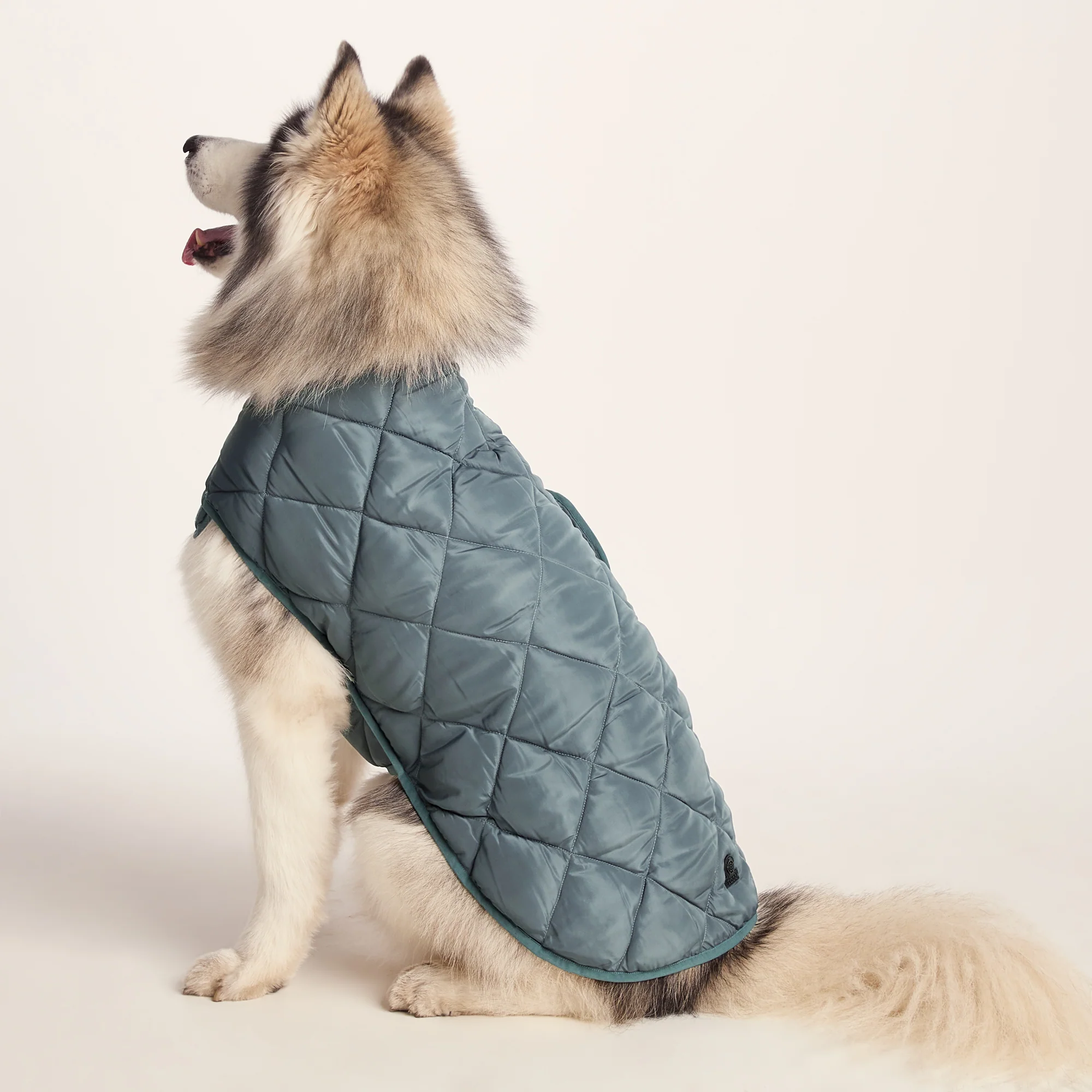 Fido Padded Dog Coat L - Graphite - Image 3