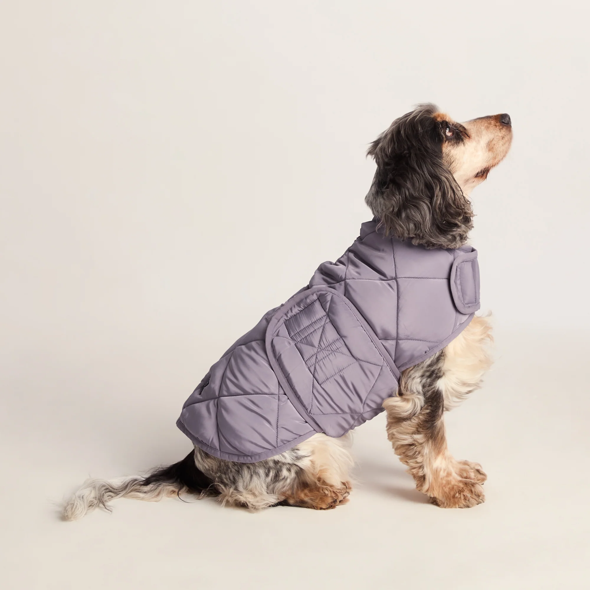 Fido Padded Dog Coat M - Dusky Lilac - Image 4