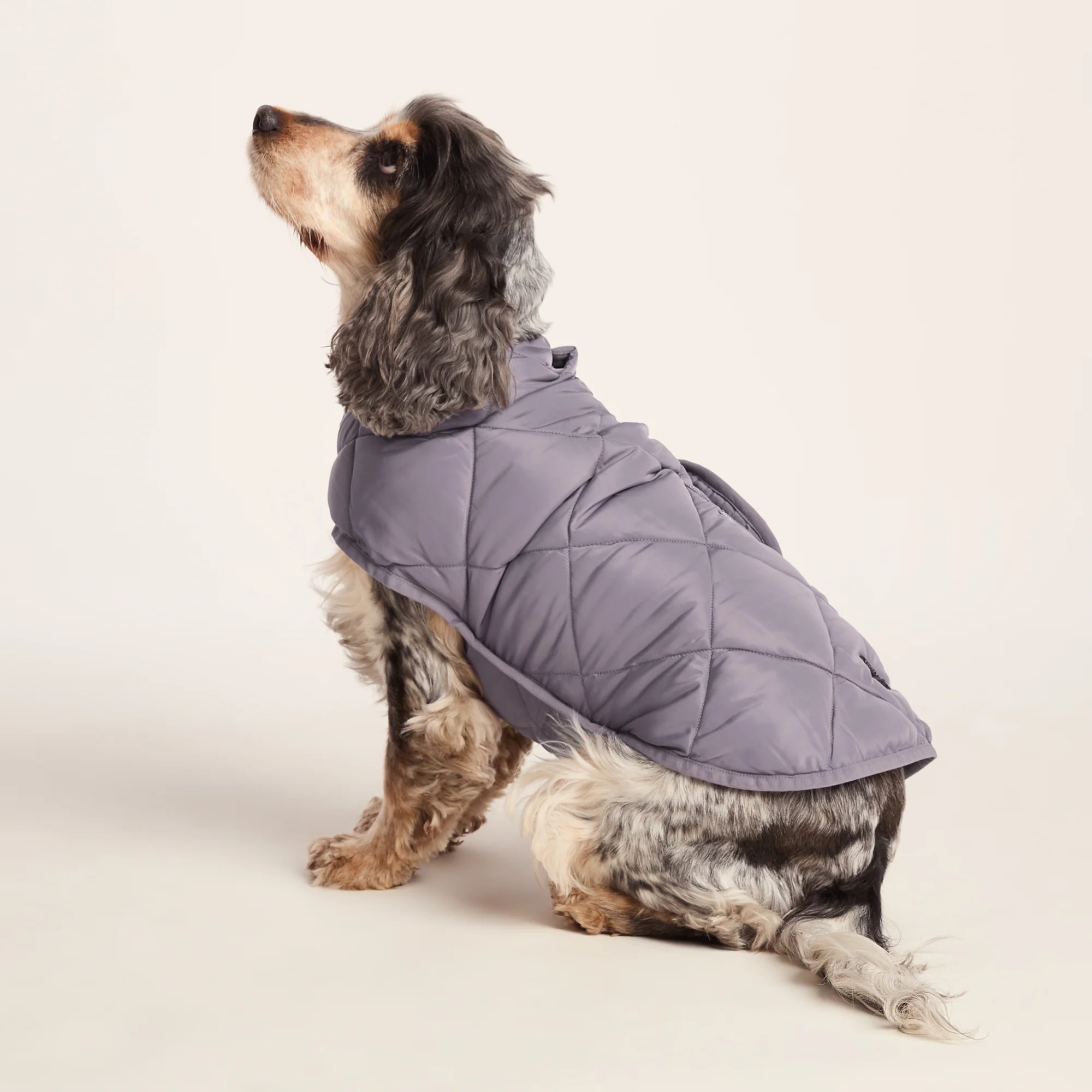 Fido Padded Dog Coat M - Dusky Lilac - Image 5
