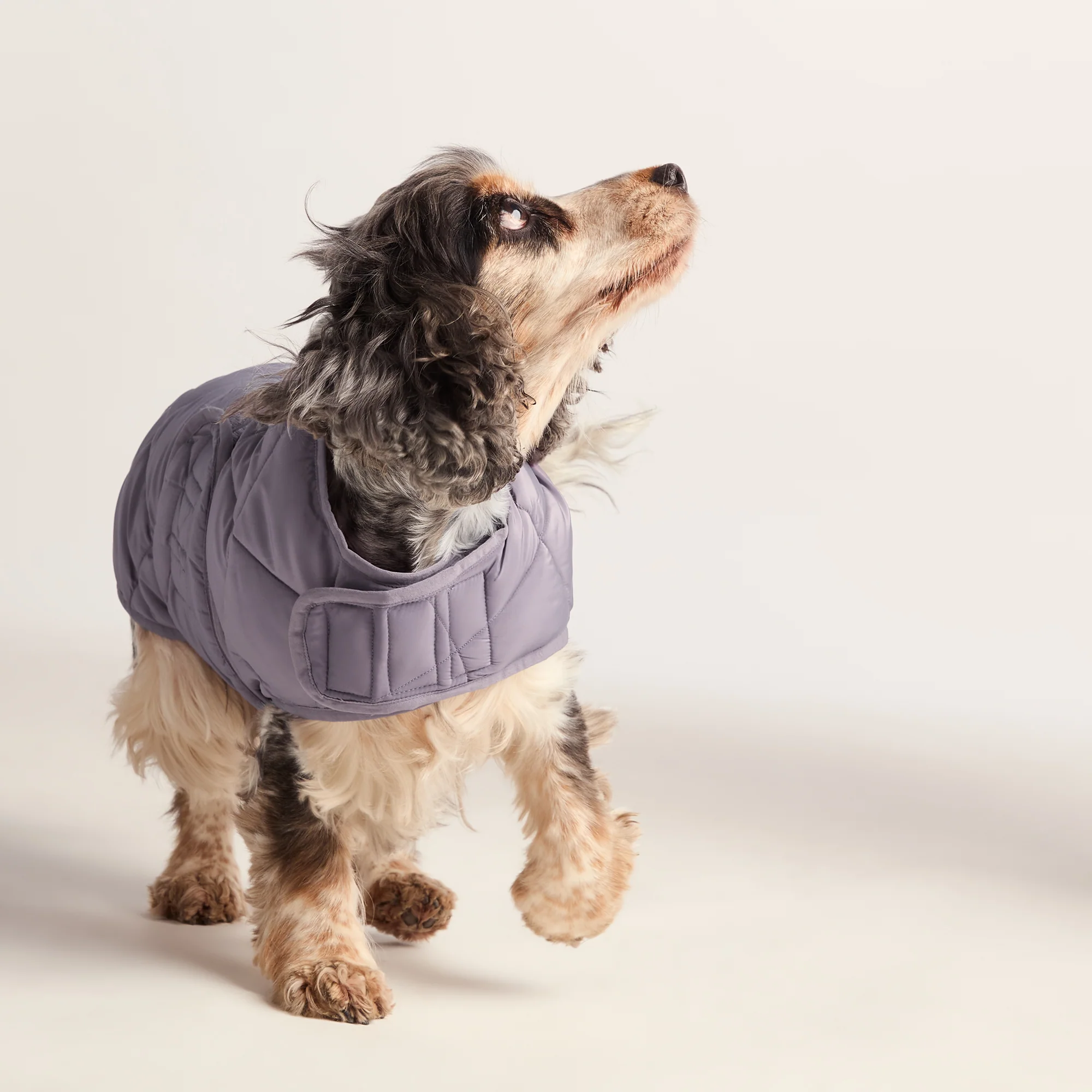 Fido Padded Dog Coat M - Dusky Lilac - Image 6