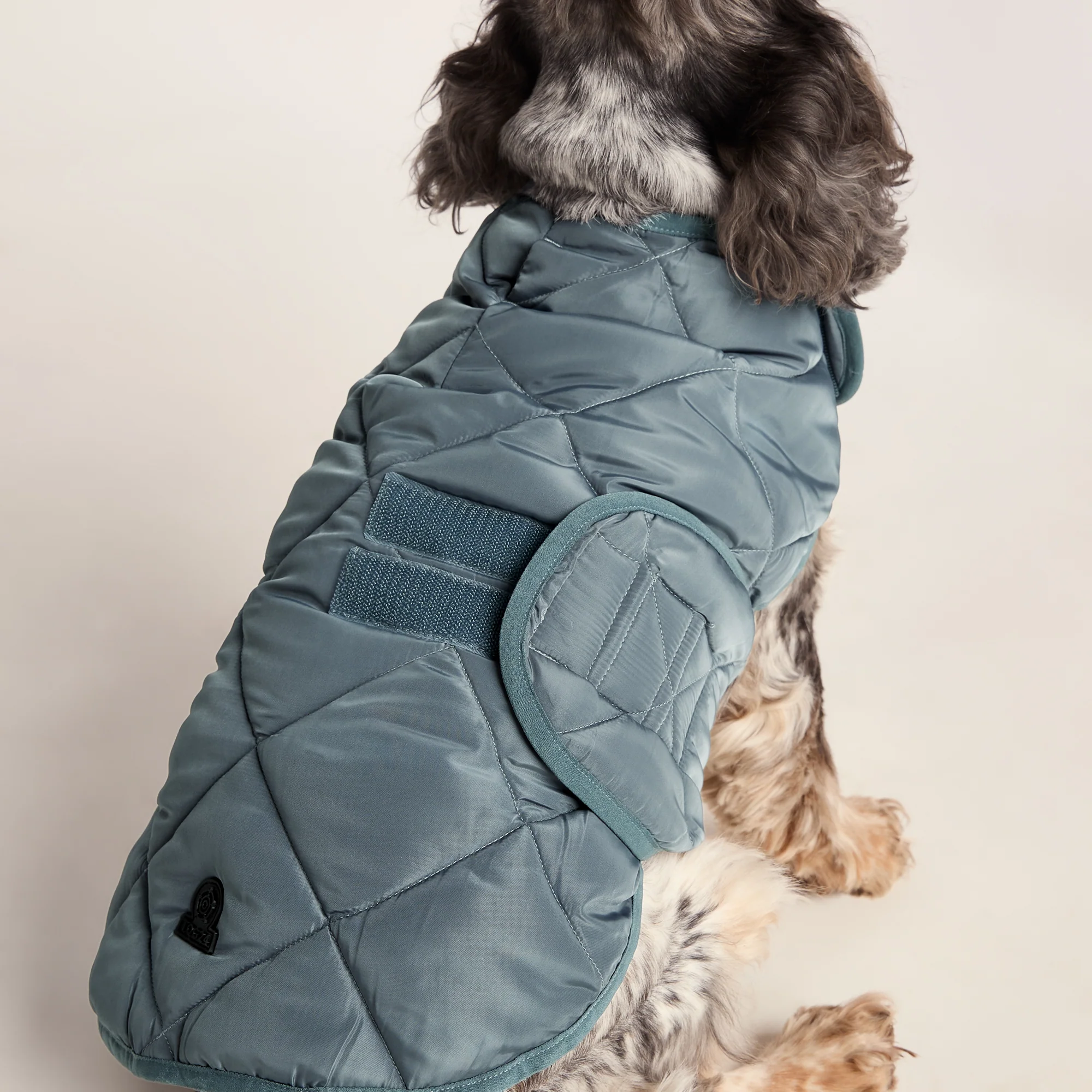 Fido Padded Dog Coat M - Graphite - Image 3