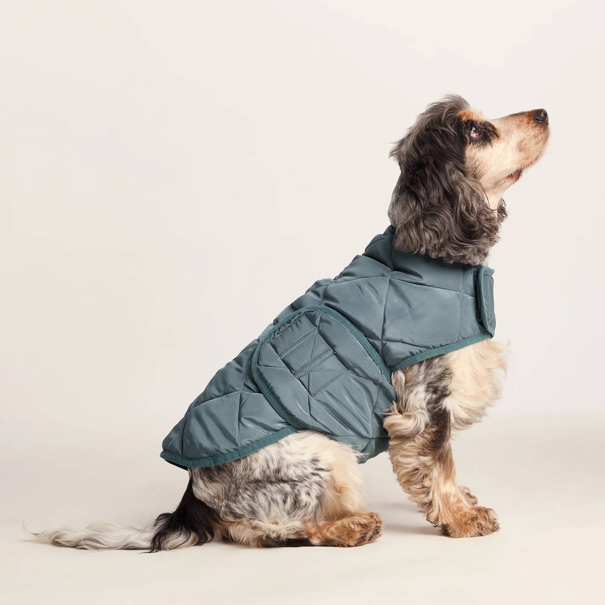 Fido Padded Dog Coat M - Graphite - Image 4
