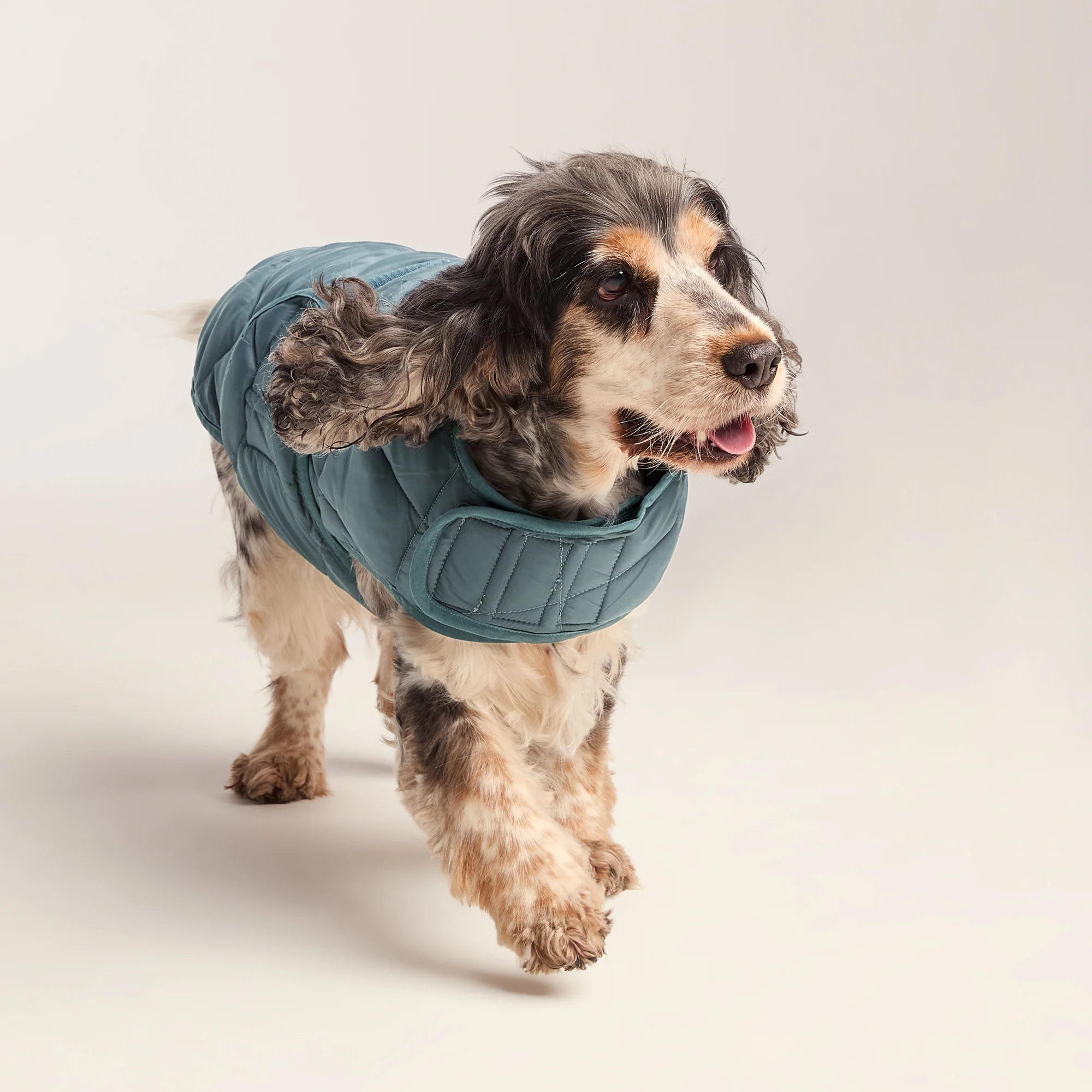 Fido Padded Dog Coat M - Graphite - Image 5