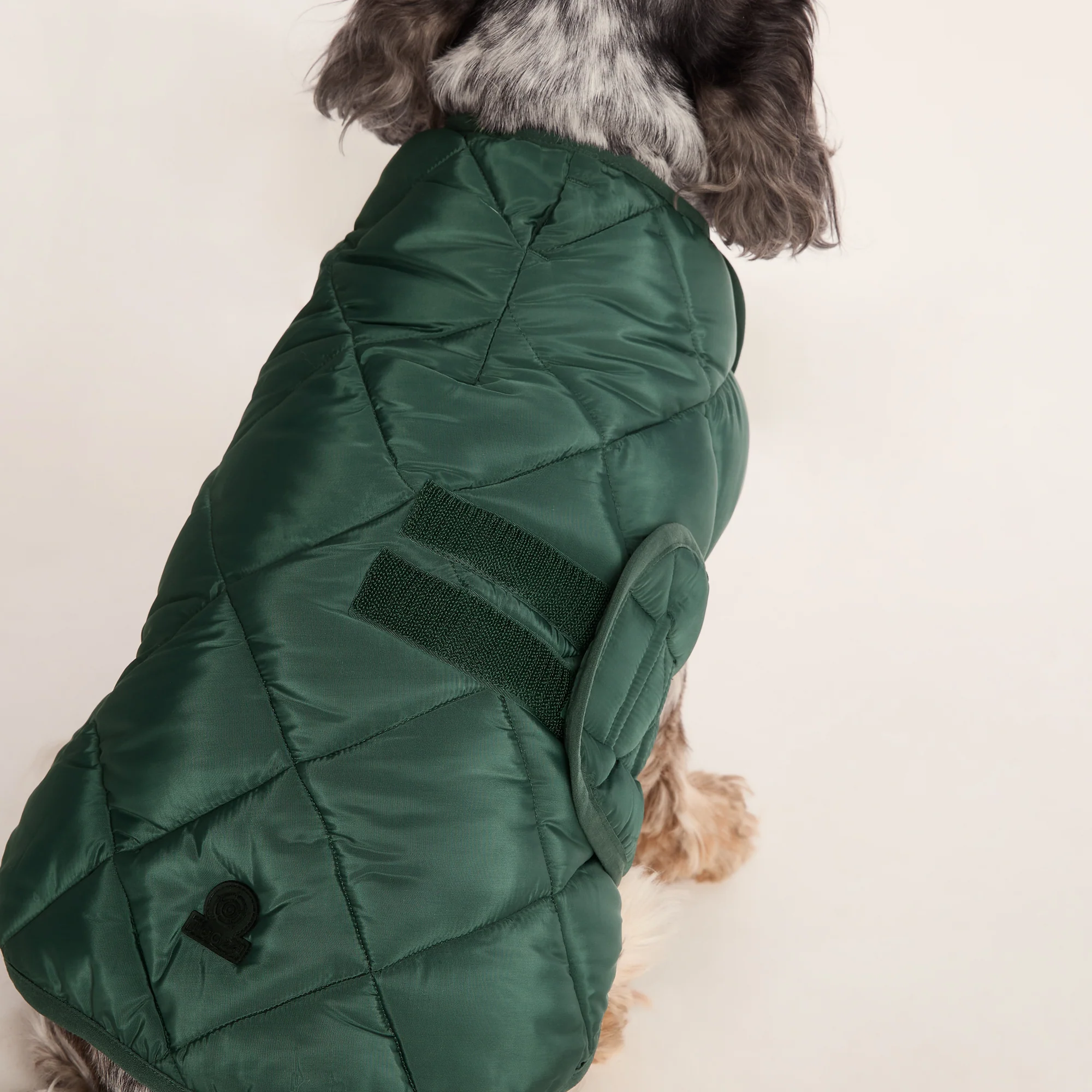 Fido Padded Dog Coat M - Racing Green - Image 3