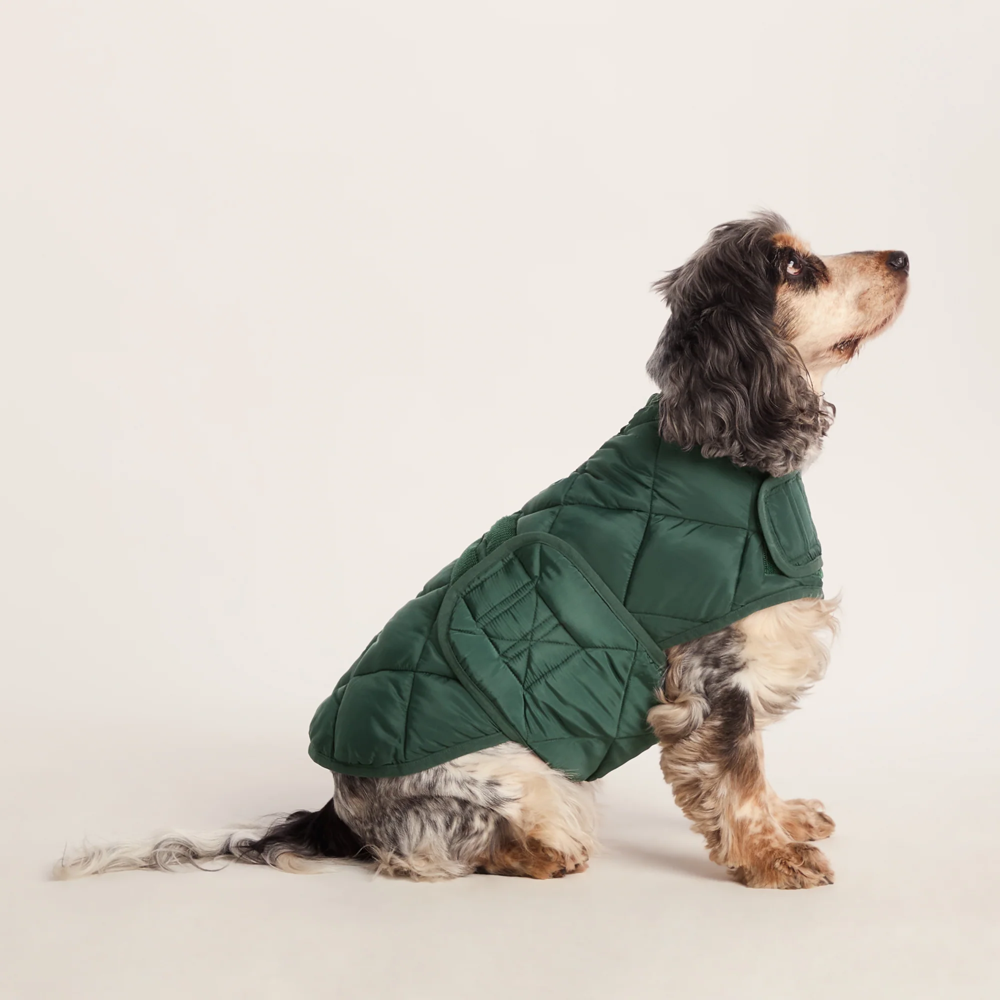 Fido Padded Dog Coat M - Racing Green - Image 4