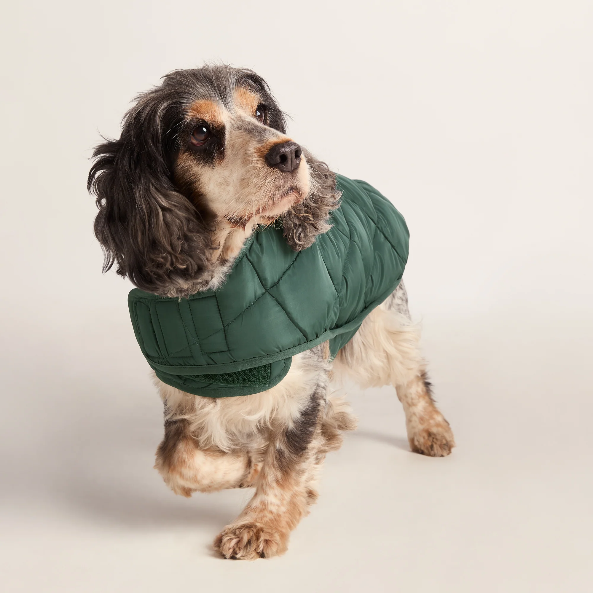 Fido Padded Dog Coat M - Racing Green - Image 5