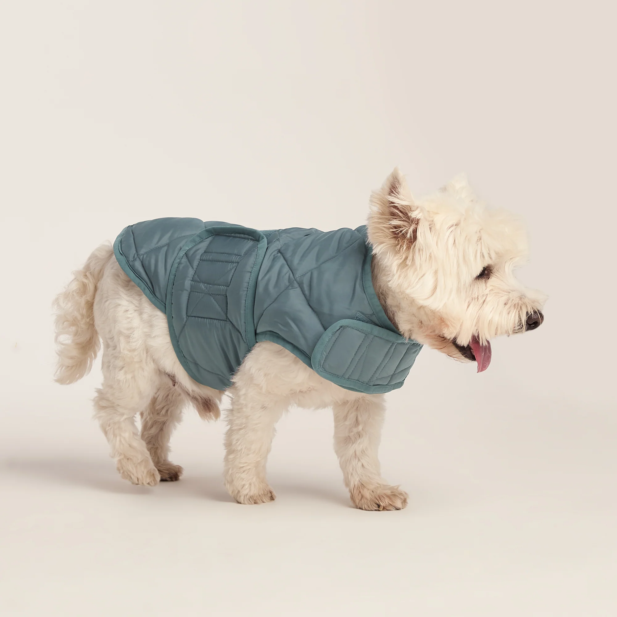 Fido Padded Dog Coat S - Graphite - Image 3