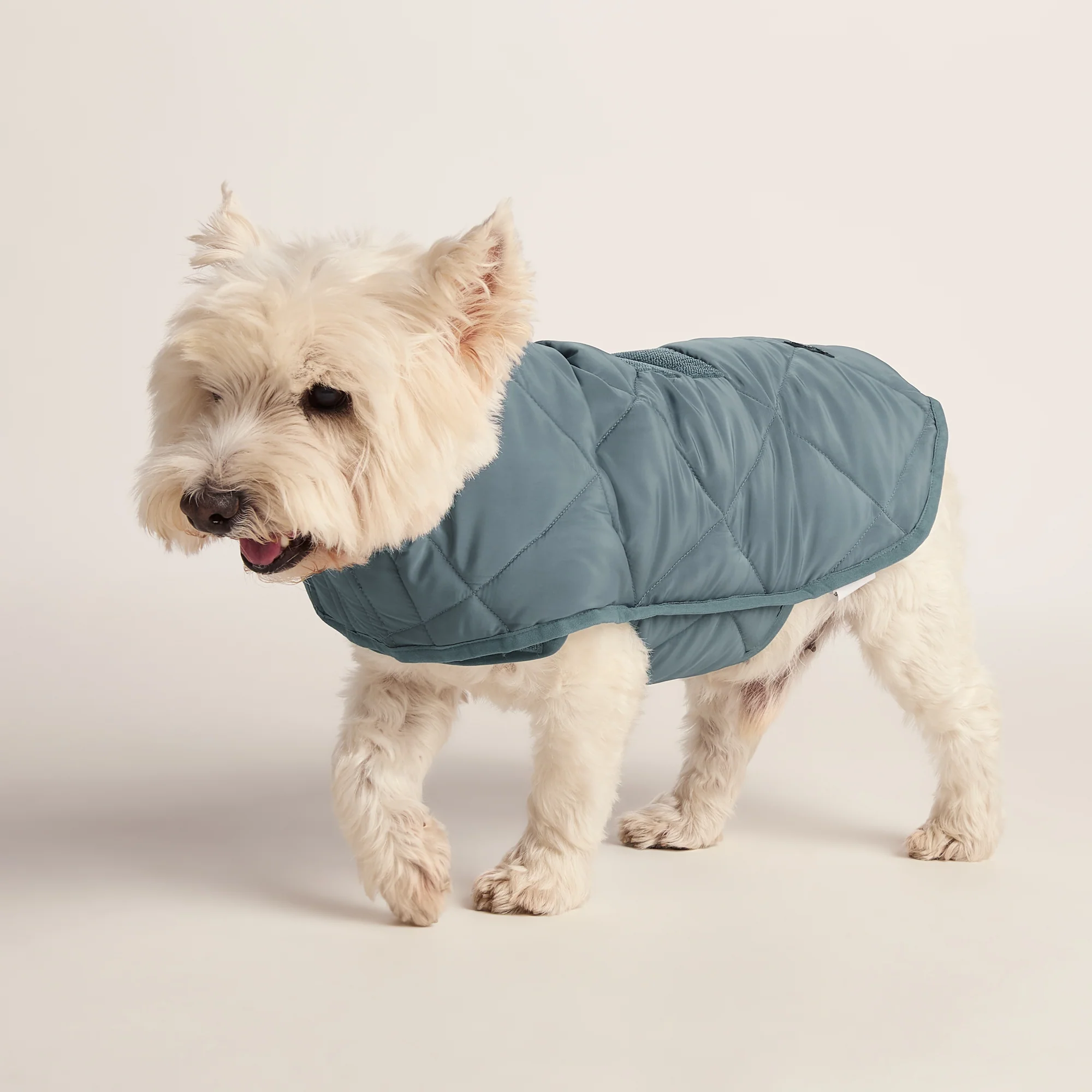 Fido Padded Dog Coat S - Graphite - Image 4