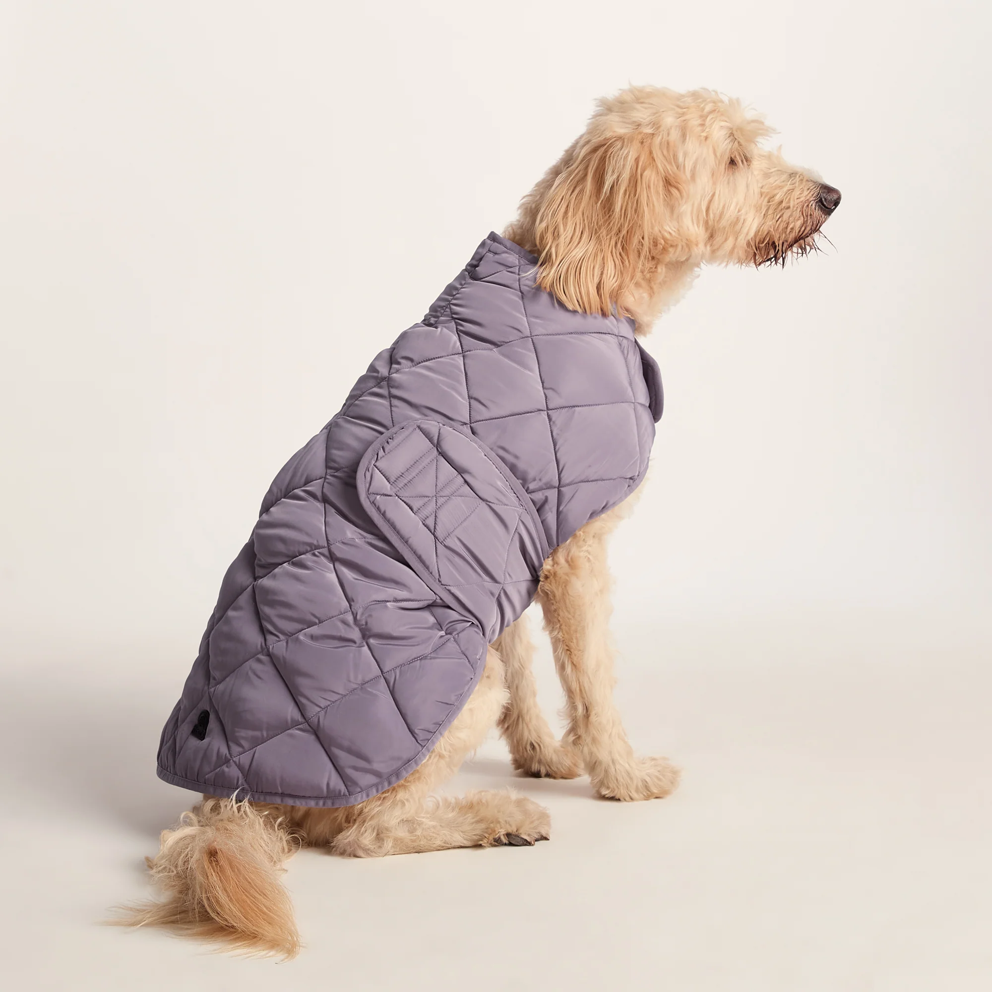 Fido Padded Dog Coat XL - Dusky Lilac - Image 3