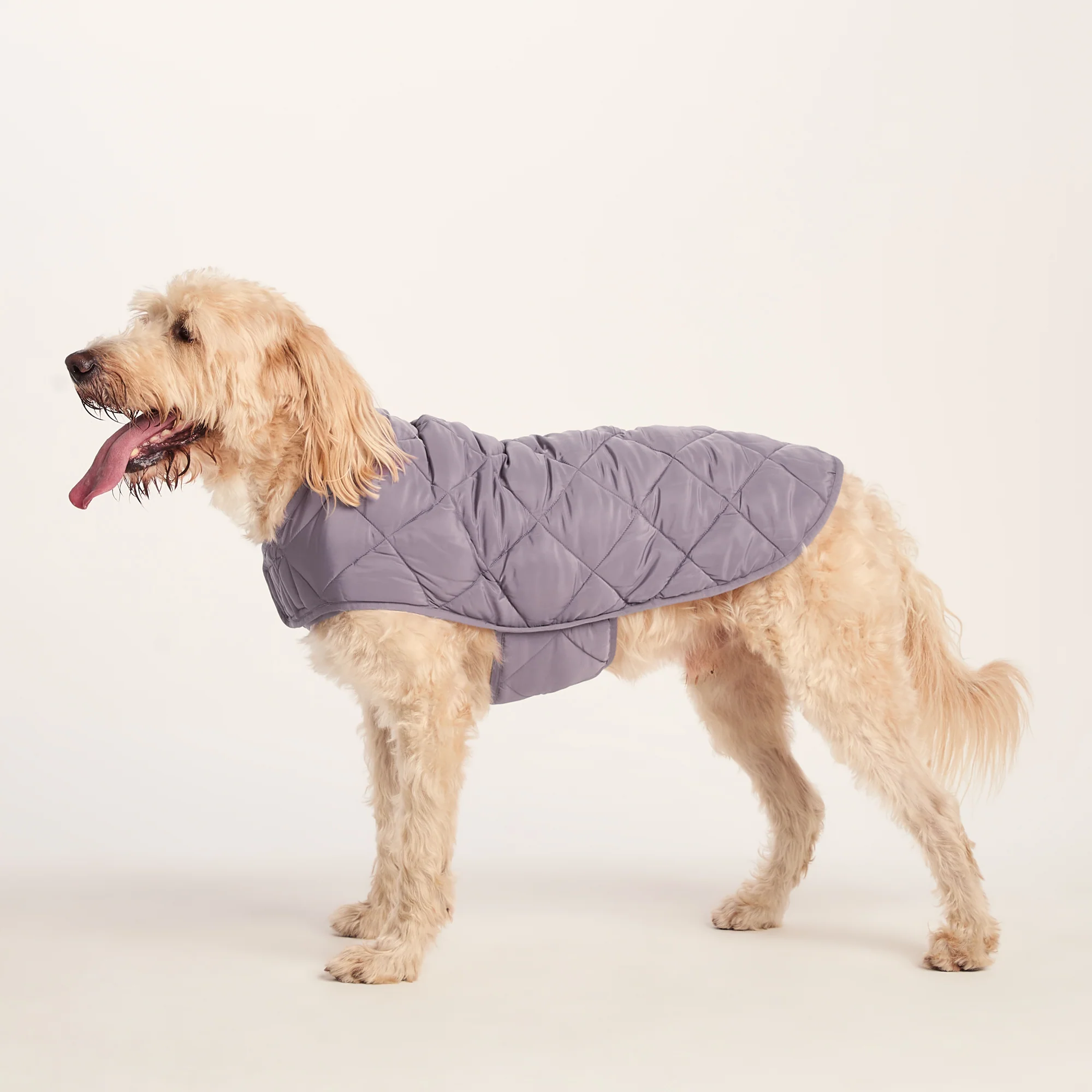 Fido Padded Dog Coat XL - Dusky Lilac - Image 5