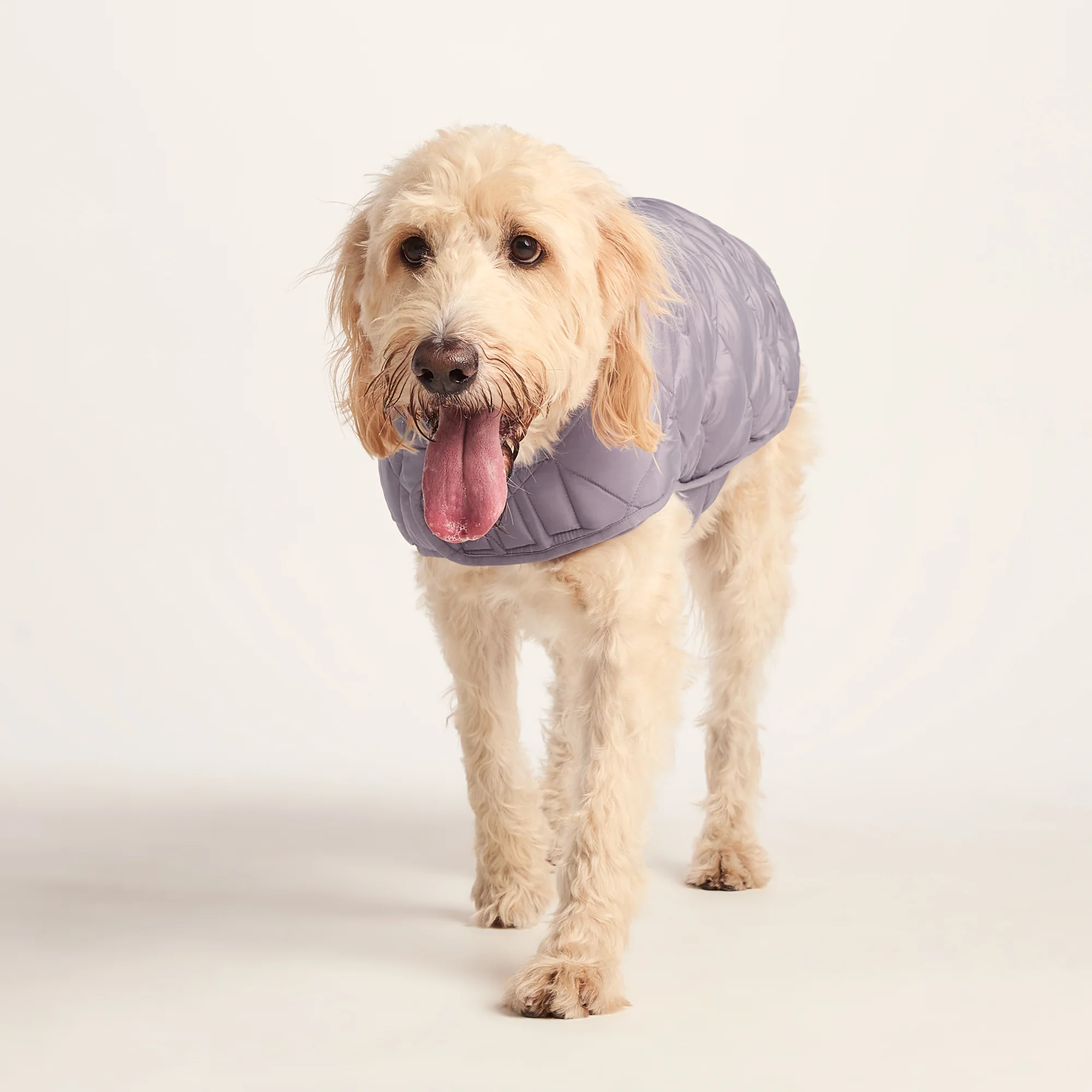 Fido Padded Dog Coat XL - Dusky Lilac - Image 6