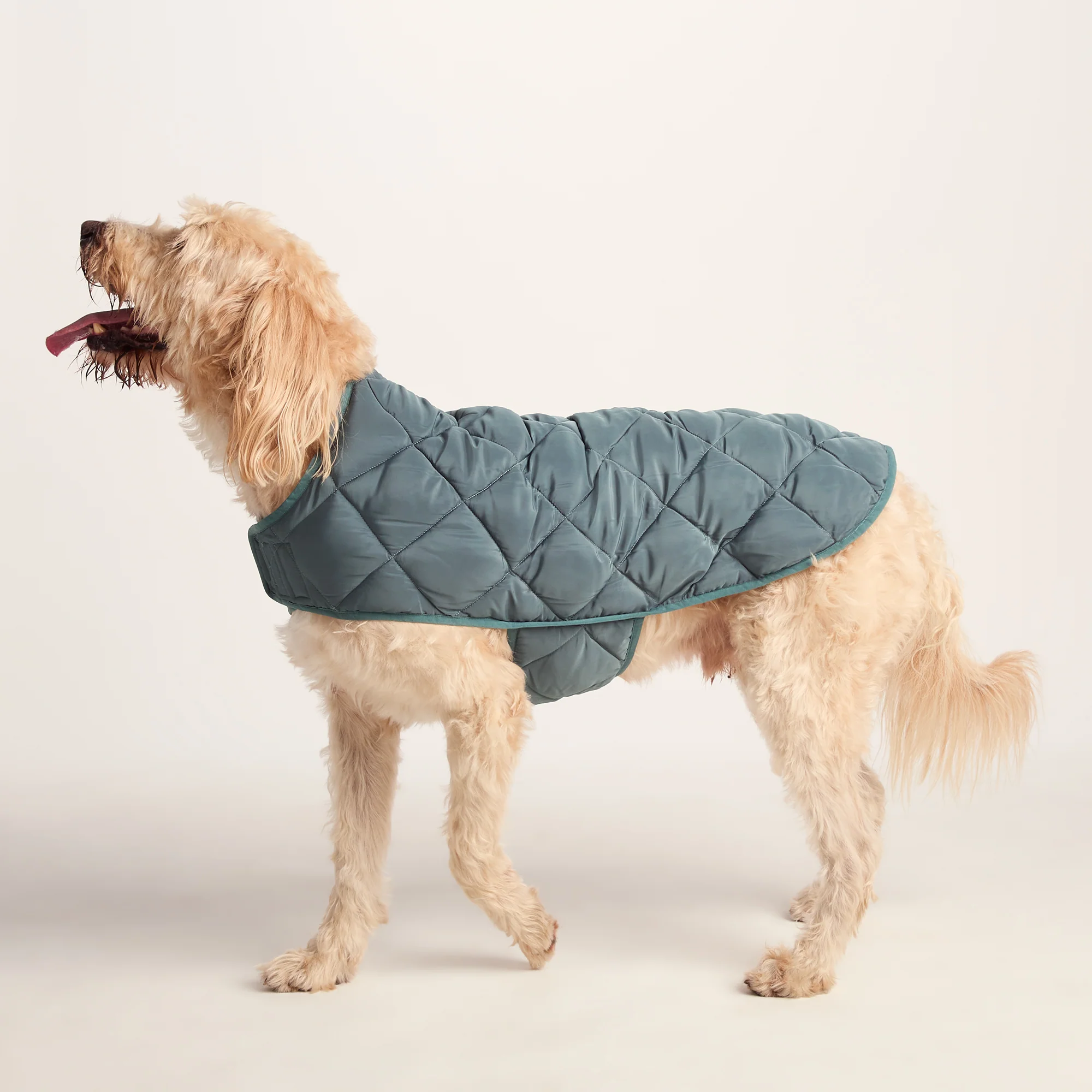 Fido Padded Dog Coat XL - Graphite - Image 3