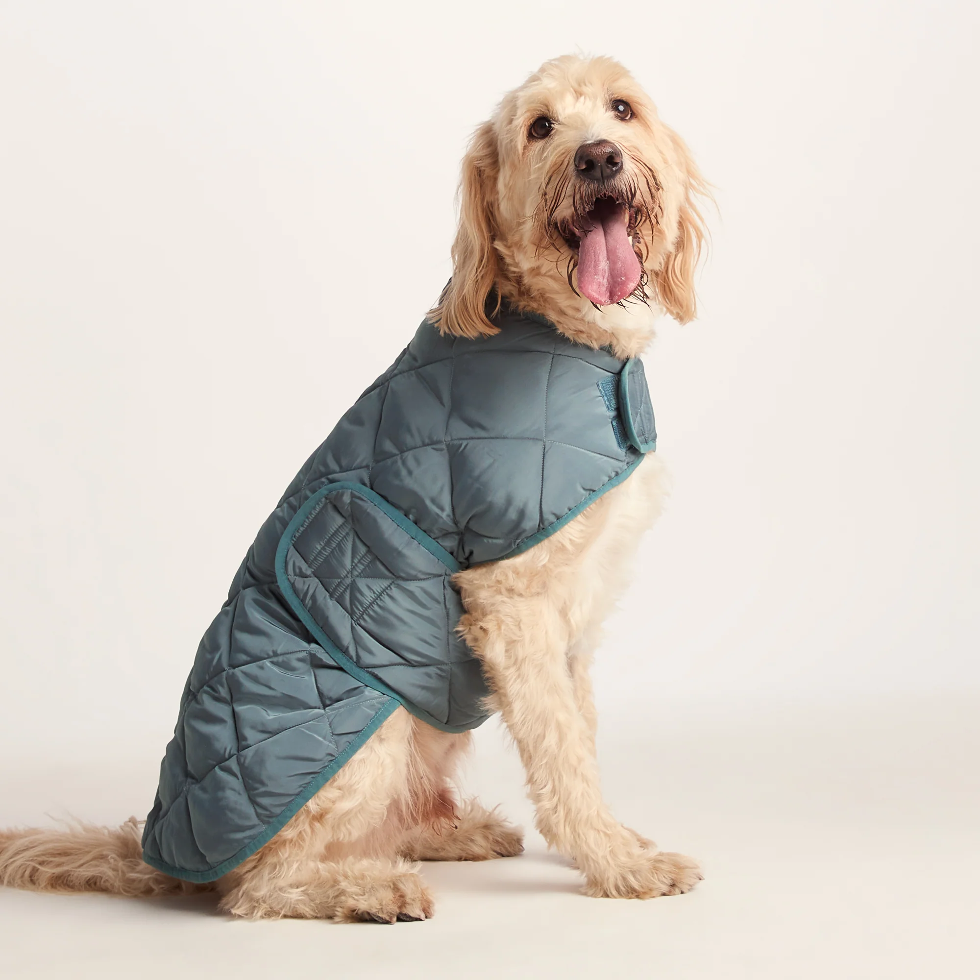 Fido Padded Dog Coat XL - Graphite - Image 4