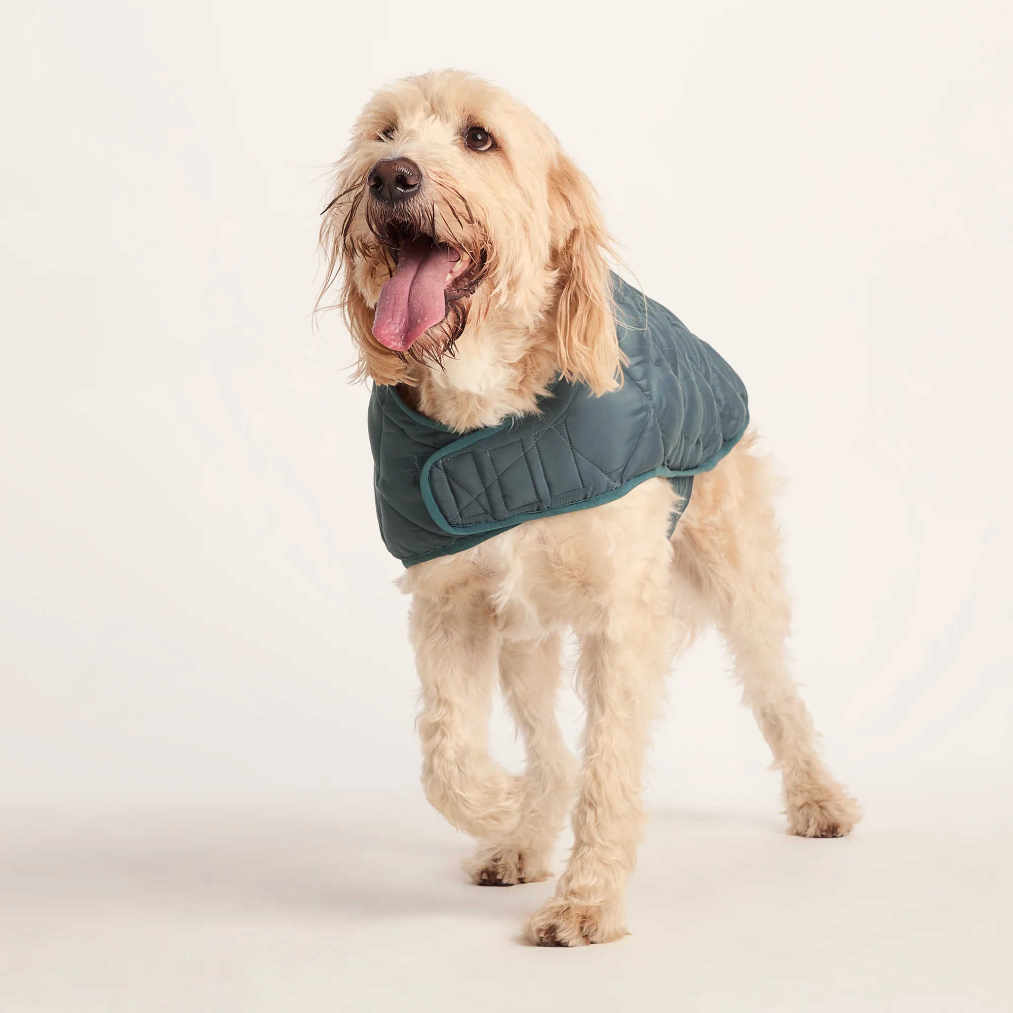 Fido Padded Dog Coat XL - Graphite - Image 5