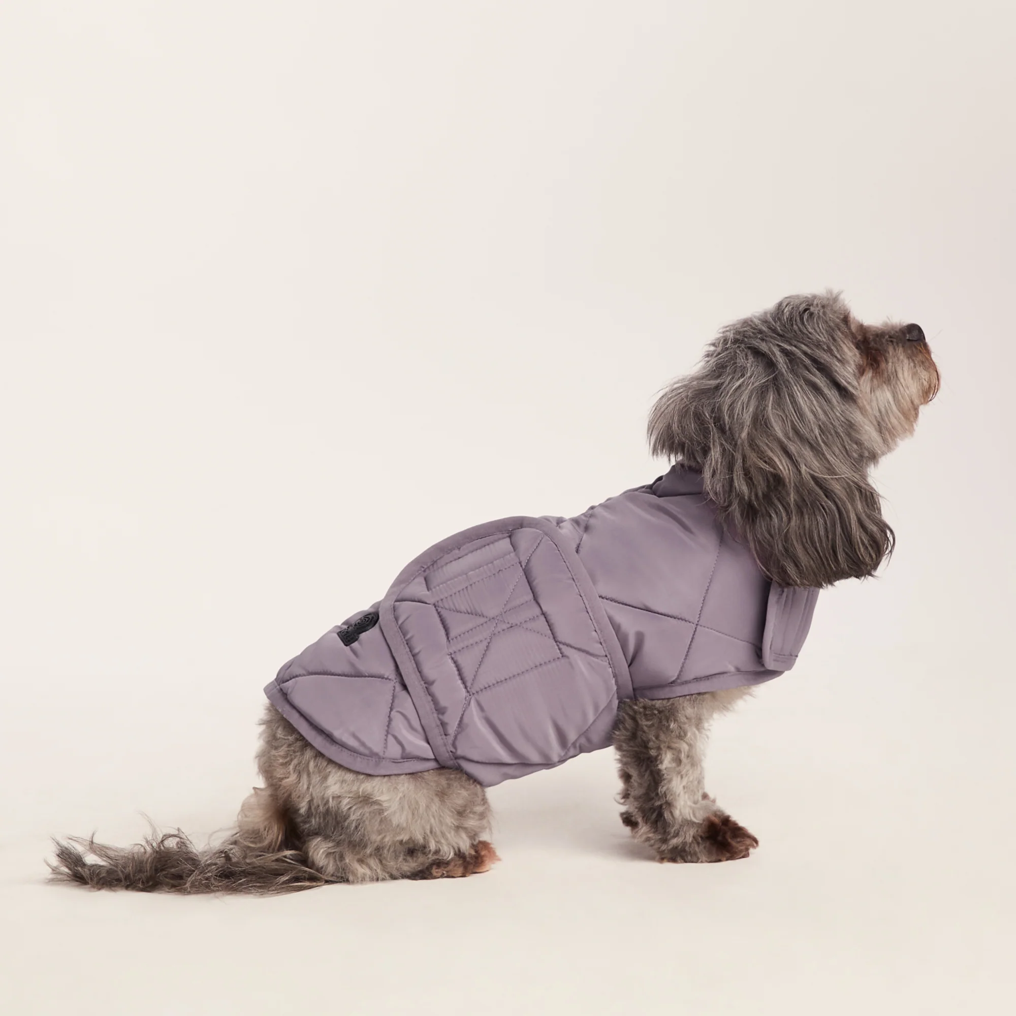 Fido Padded Dog Coat XS - Dusky Lilac - Image 4