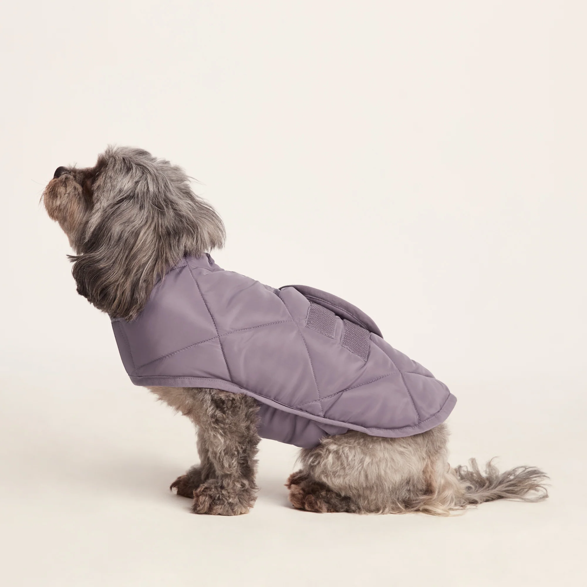 Fido Padded Dog Coat XS - Dusky Lilac - Image 5