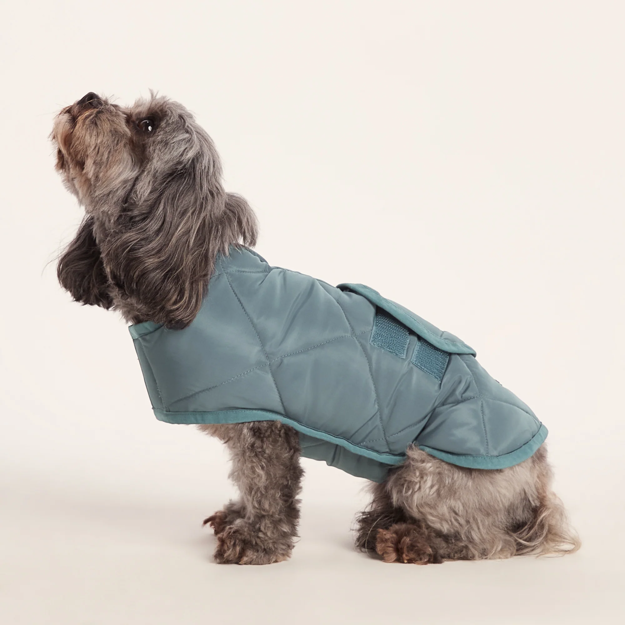 Fido Padded Dog Coat XS - Graphite - Image 3