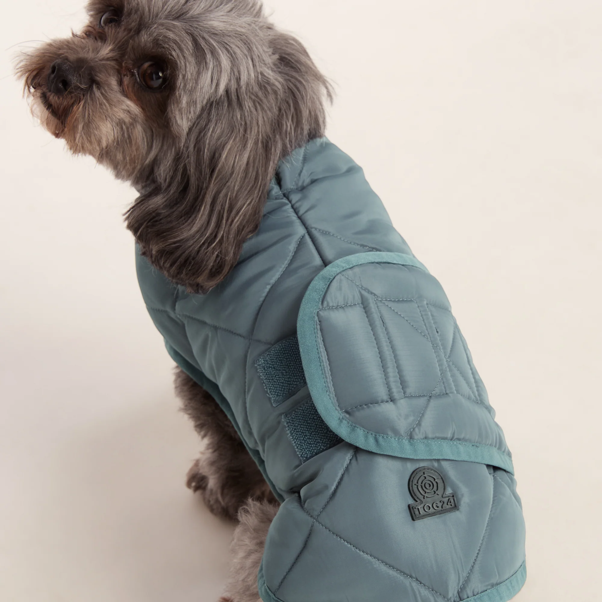 Fido Padded Dog Coat XS - Graphite - Image 4