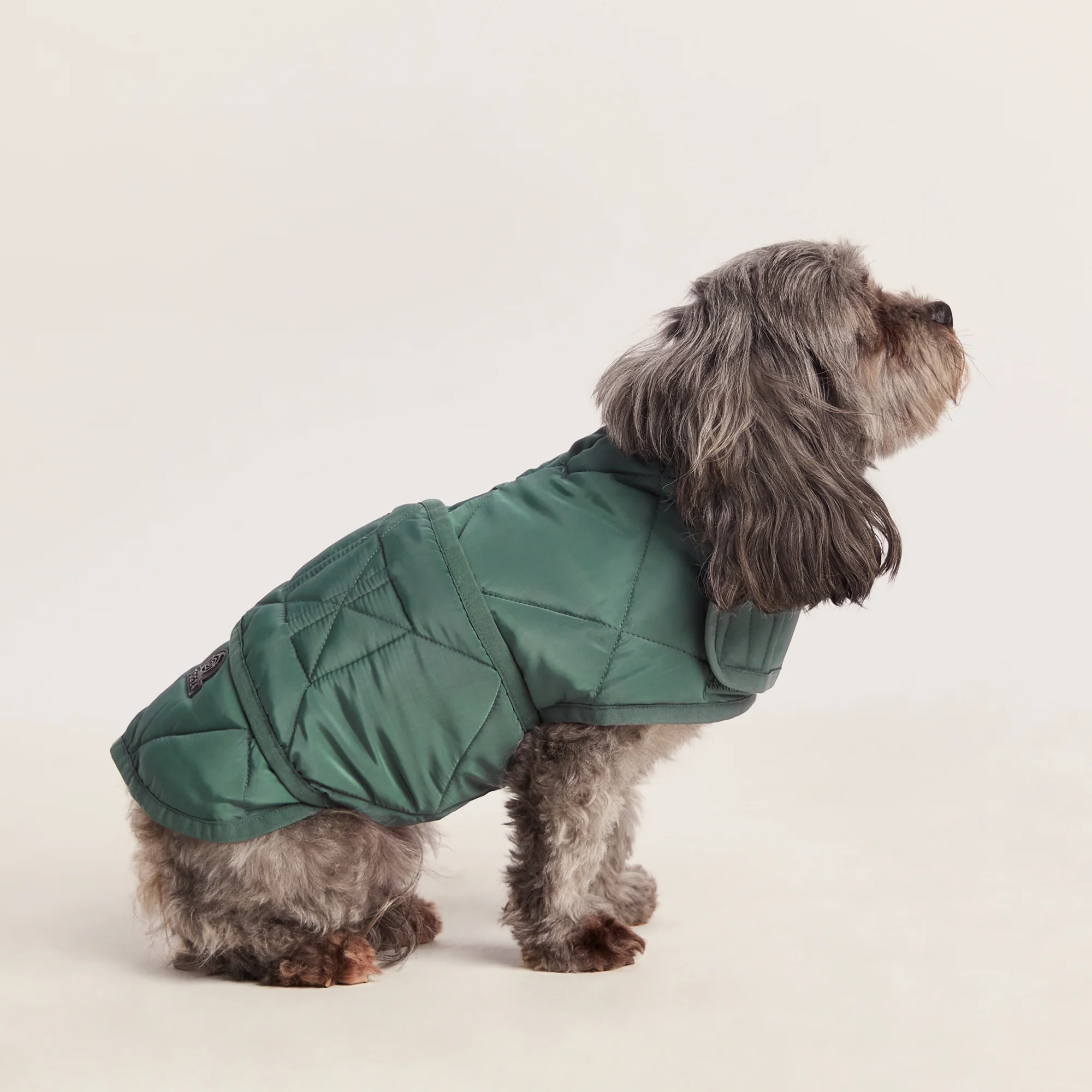 Fido Padded Dog Coat XS - Racing Green - Image 2