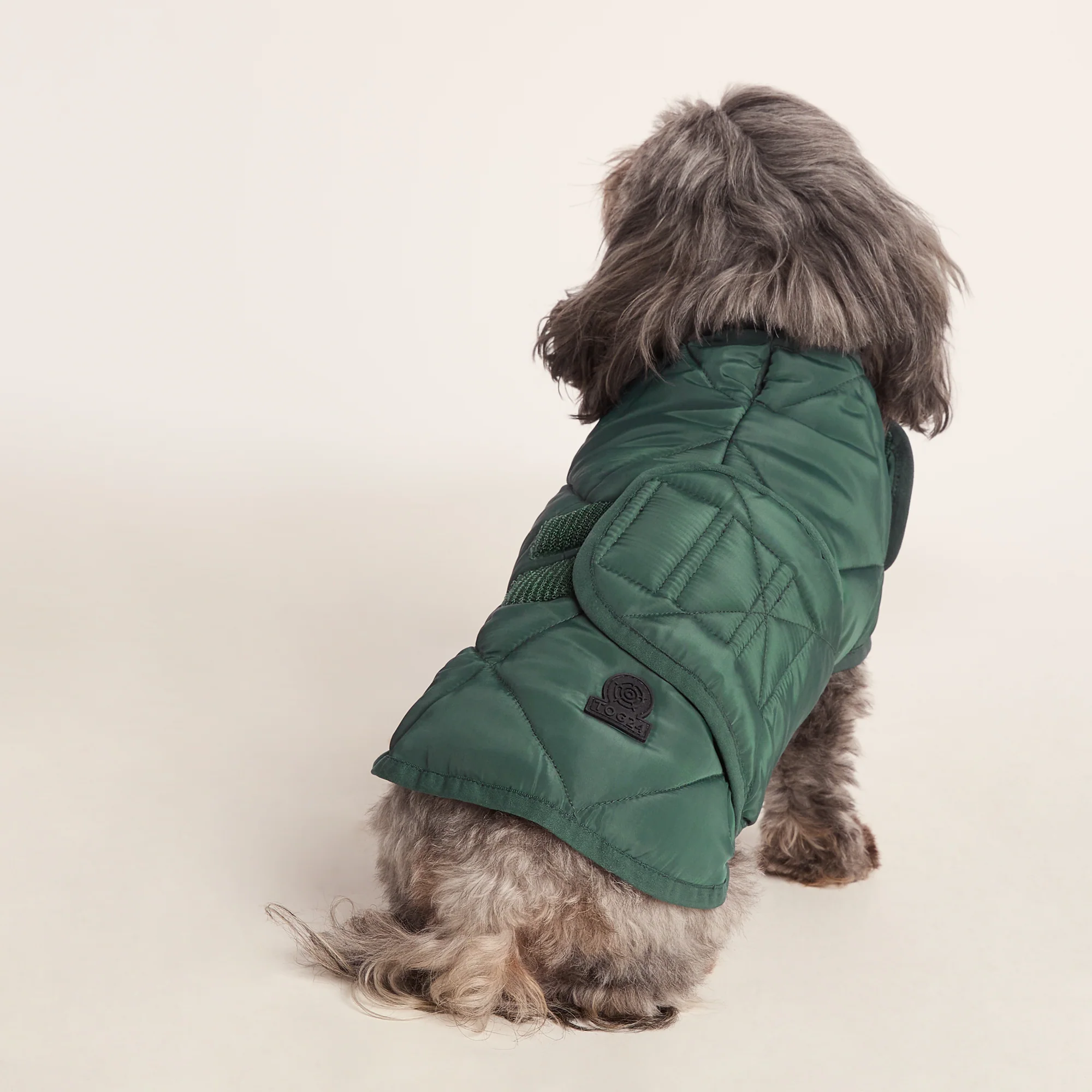 Fido Padded Dog Coat XS - Racing Green - Image 4