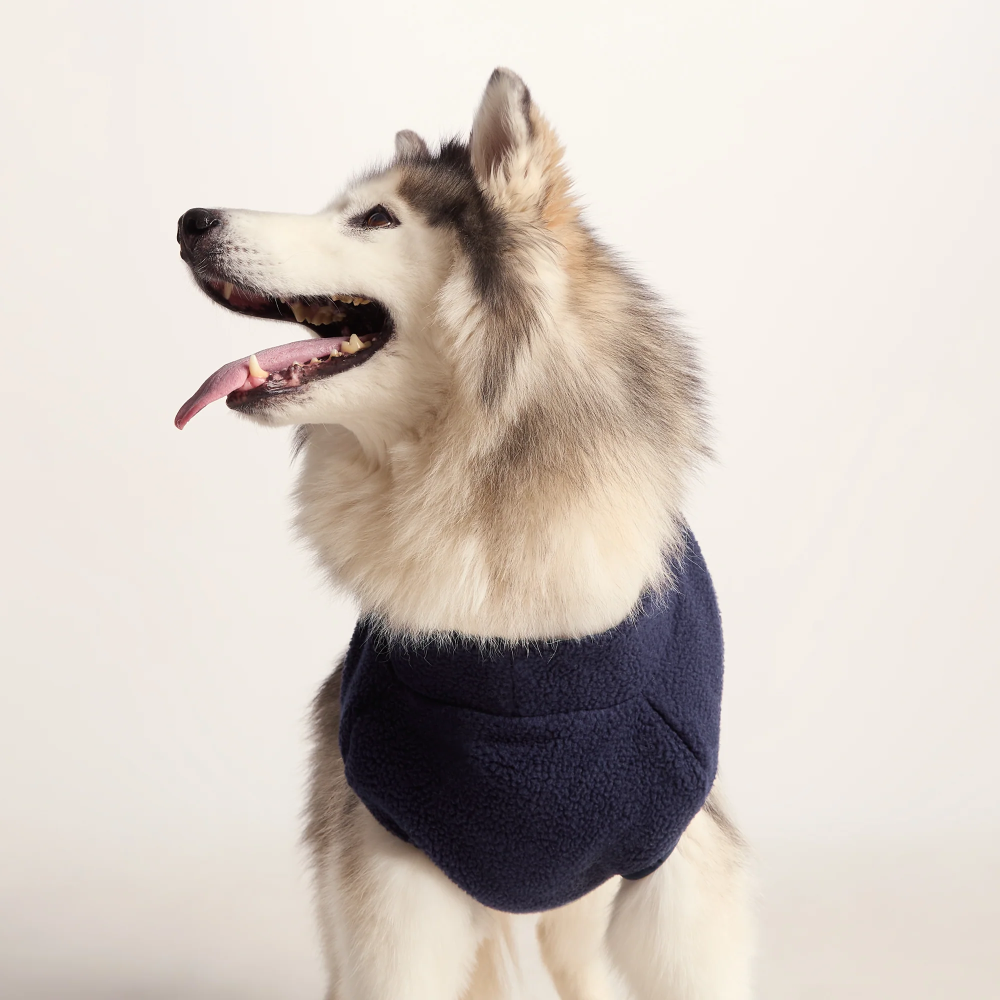Rover Sherpa Dog Coat L - Oxford Blue - Image 3