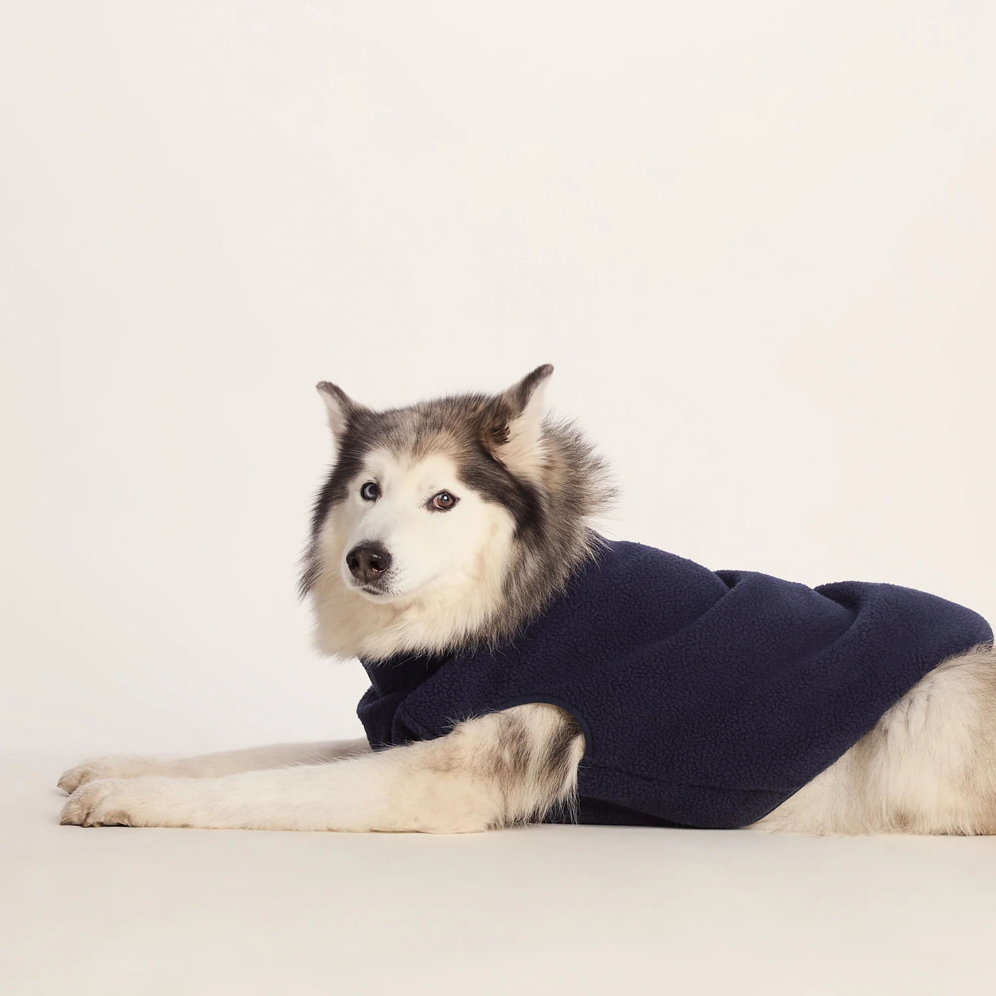 Rover Sherpa Dog Coat L - Oxford Blue - Image 4