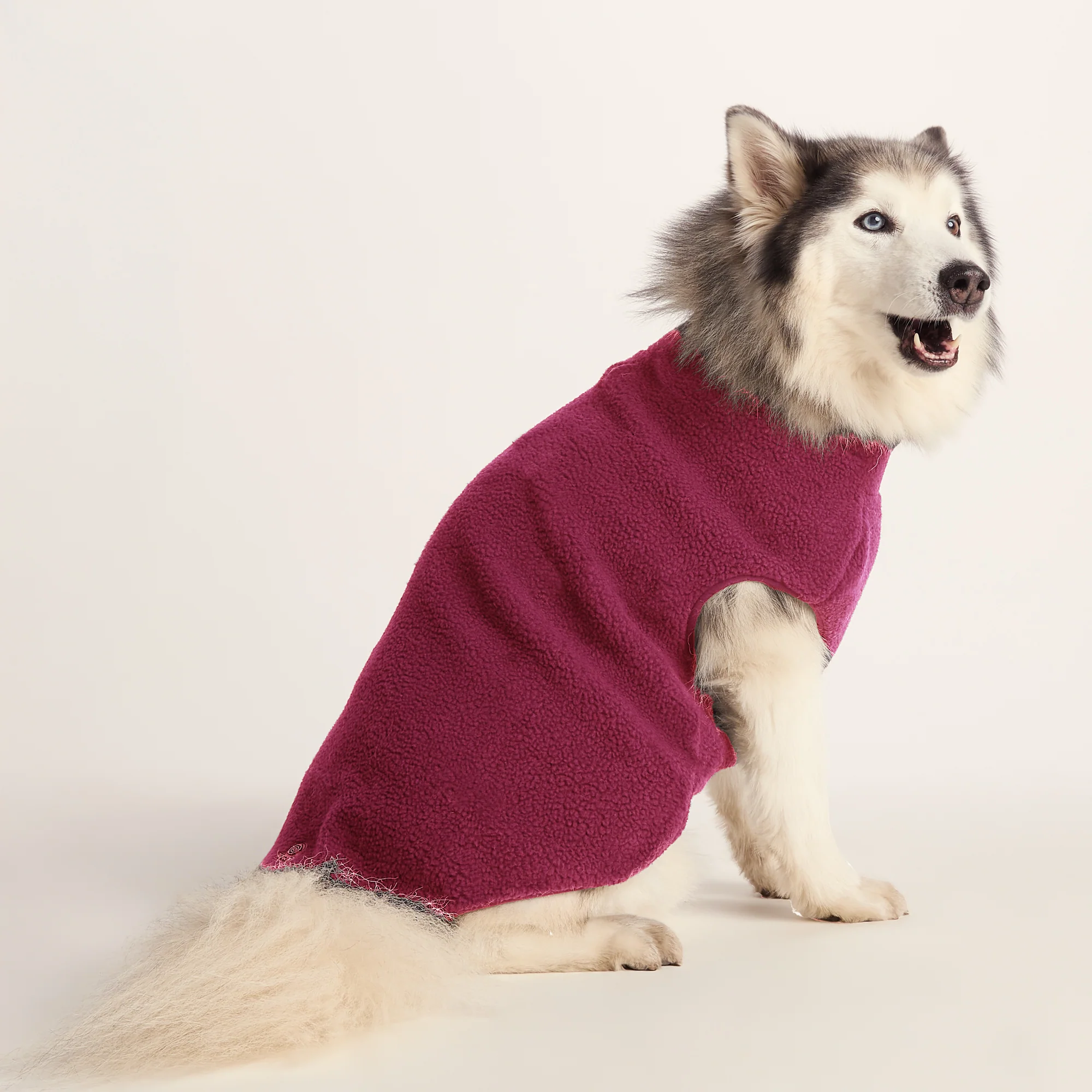 Rover Sherpa Dog Coat L - Washed Burgundy - Image 2
