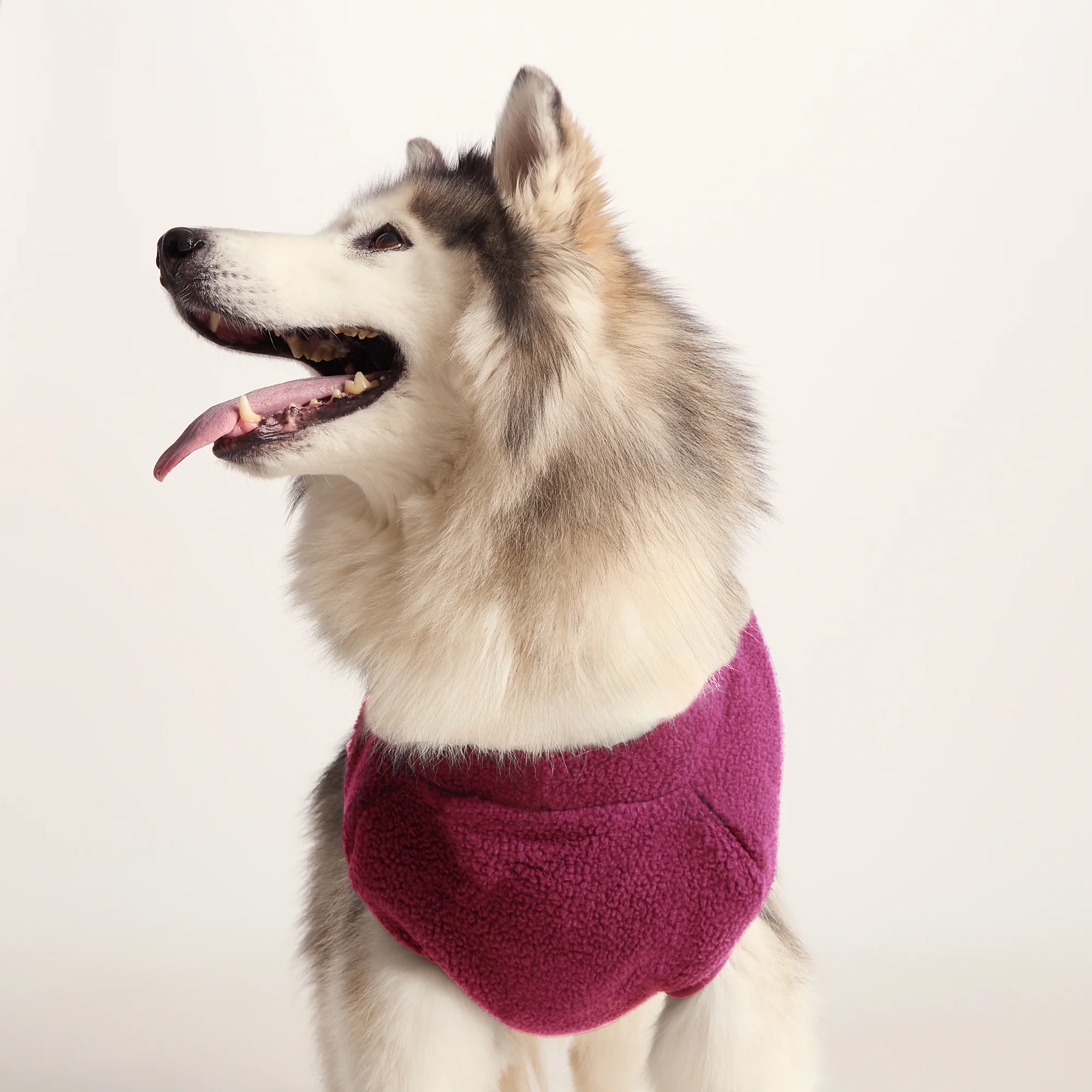 Rover Sherpa Dog Coat L - Washed Burgundy - Image 3