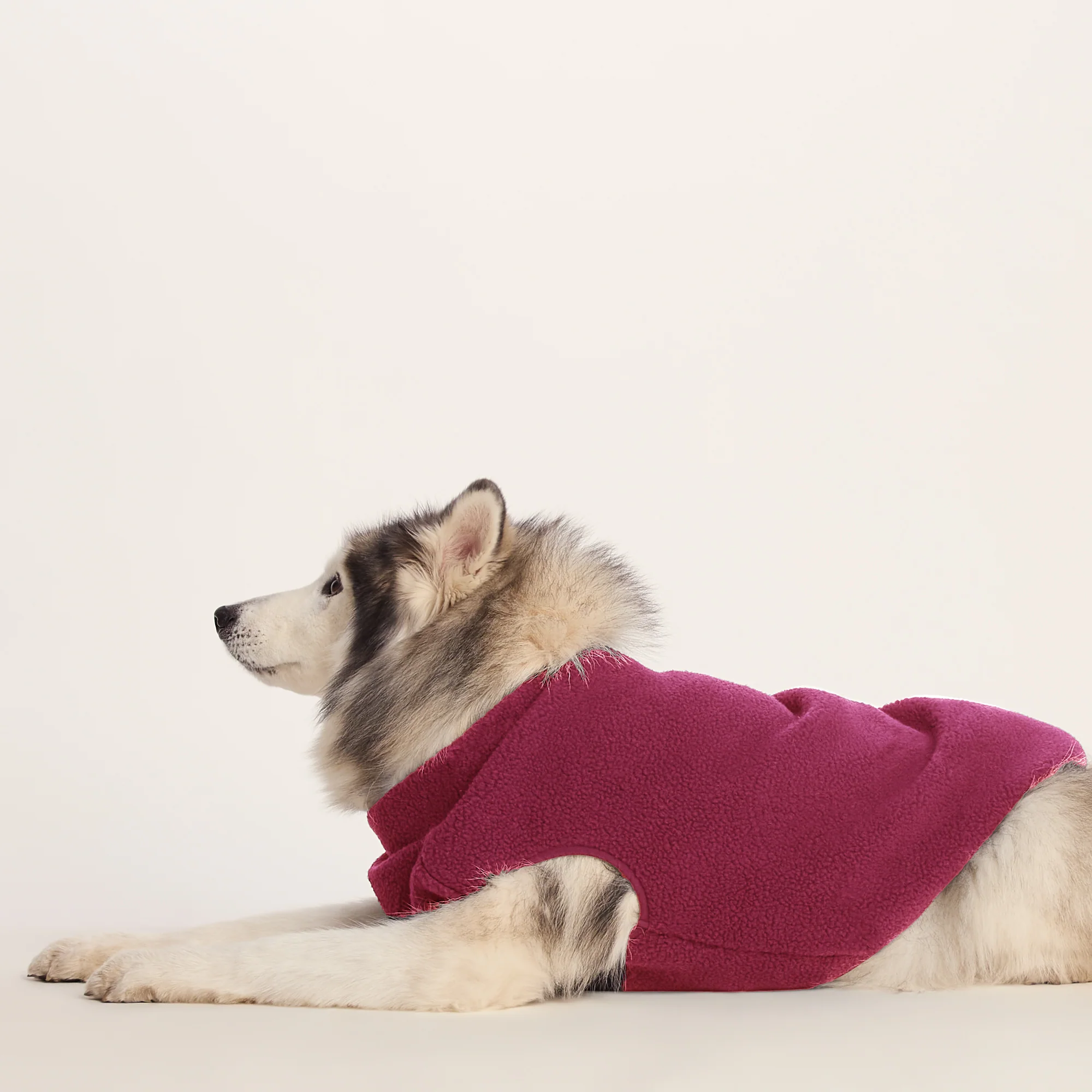 Rover Sherpa Dog Coat L - Washed Burgundy - Image 4