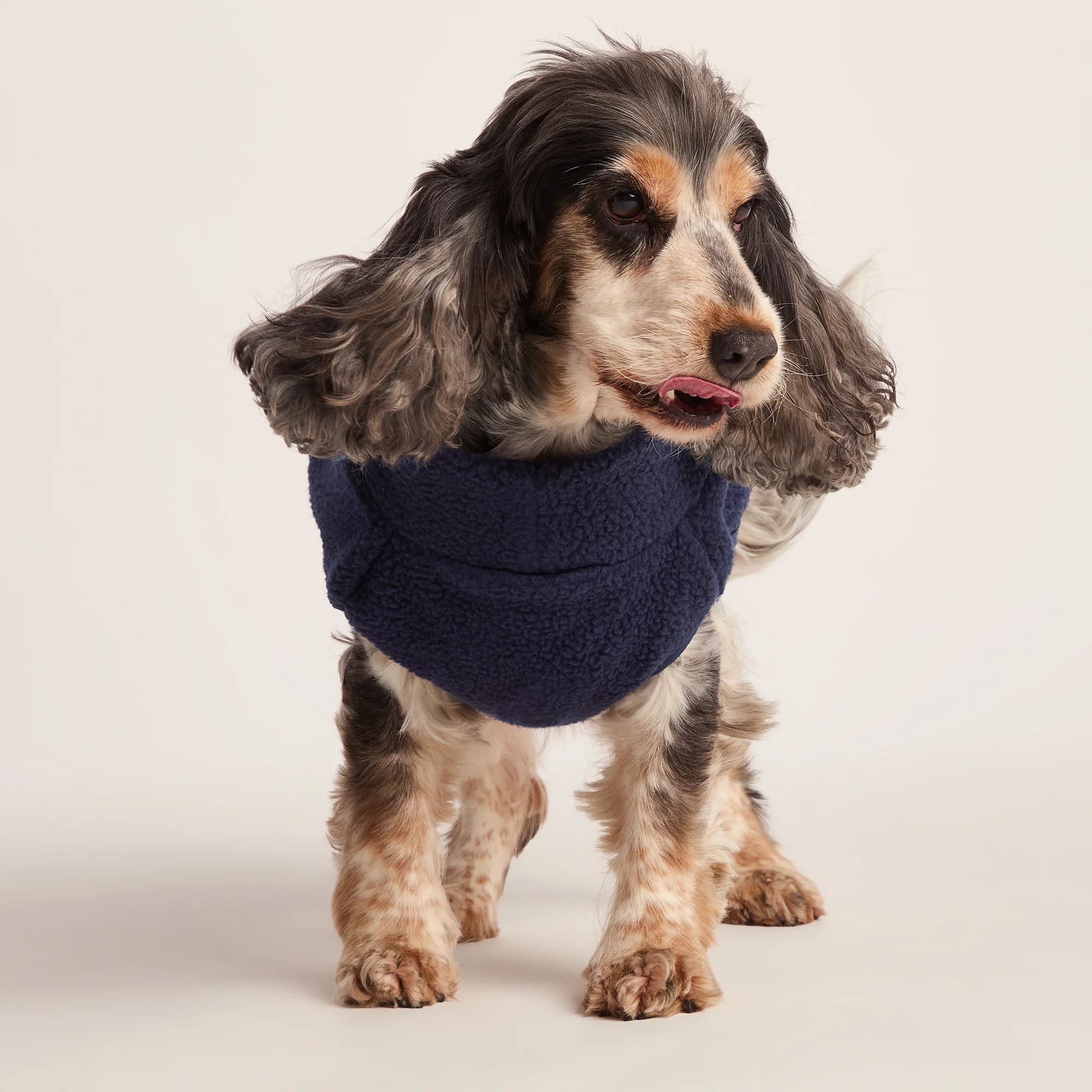 Rover Sherpa Dog Coat M - Oxford Blue - Image 5