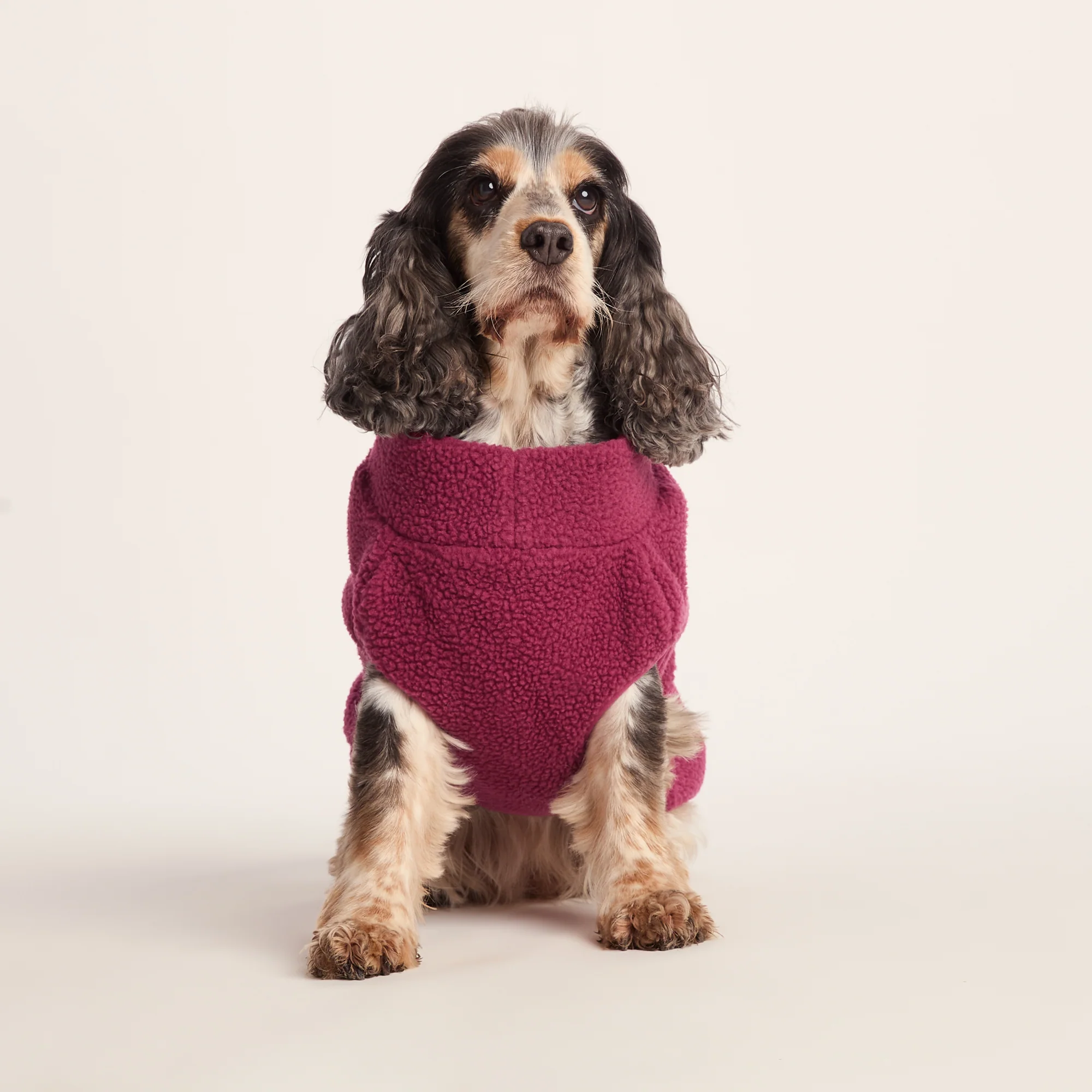 Rover Sherpa Dog Coat M - Washed Burgundy