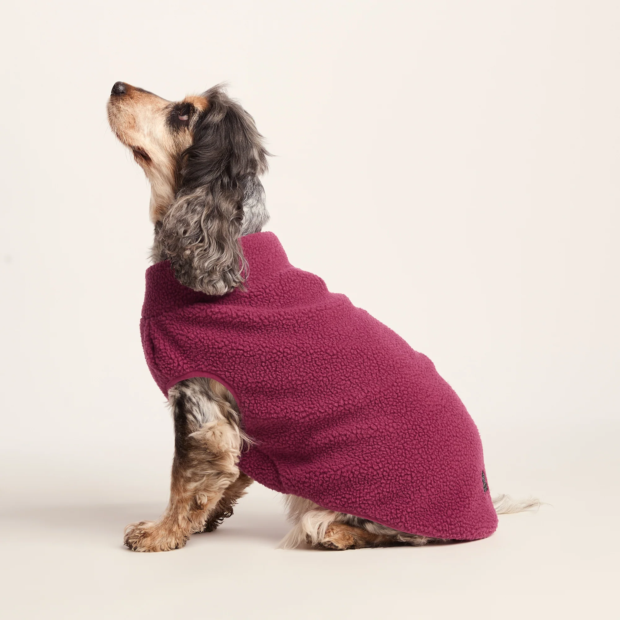 Rover Sherpa Dog Coat M - Washed Burgundy - Image 4