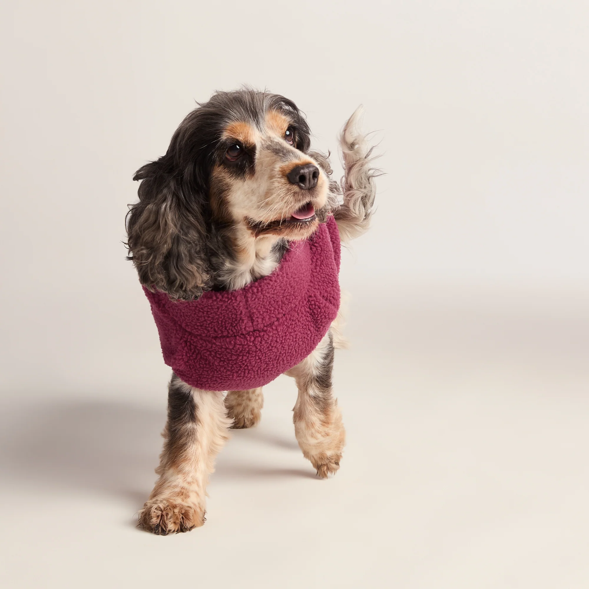 Rover Sherpa Dog Coat M - Washed Burgundy - Image 5