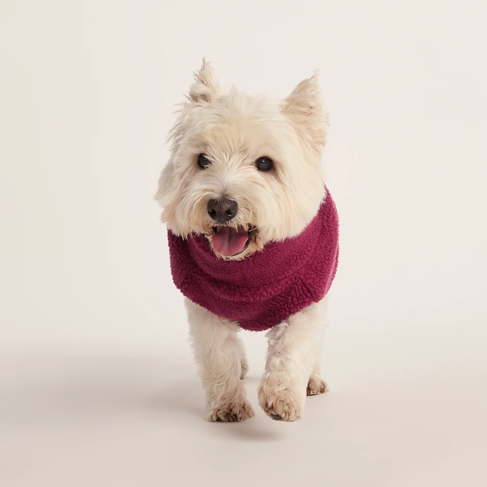 Rover Sherpa Dog Coat S - Washed Burgundy