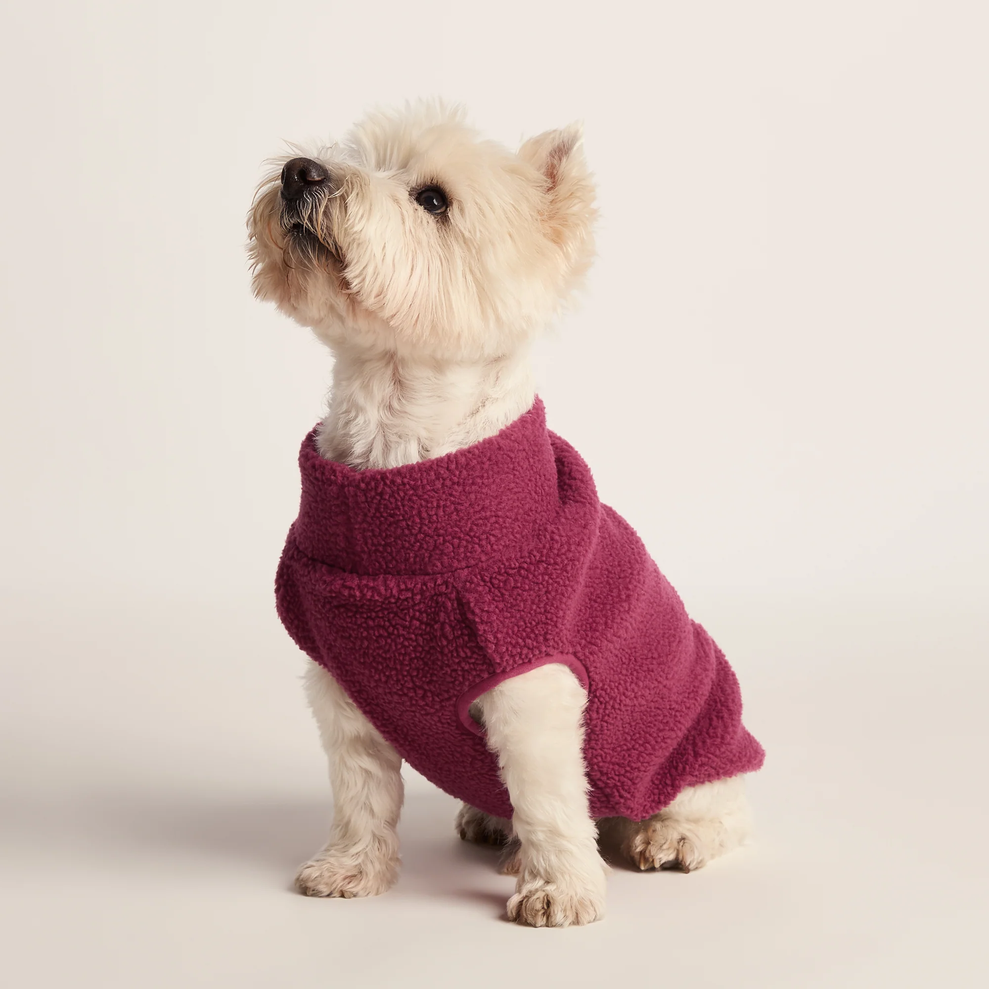 Rover Sherpa Dog Coat S - Washed Burgundy - Image 3