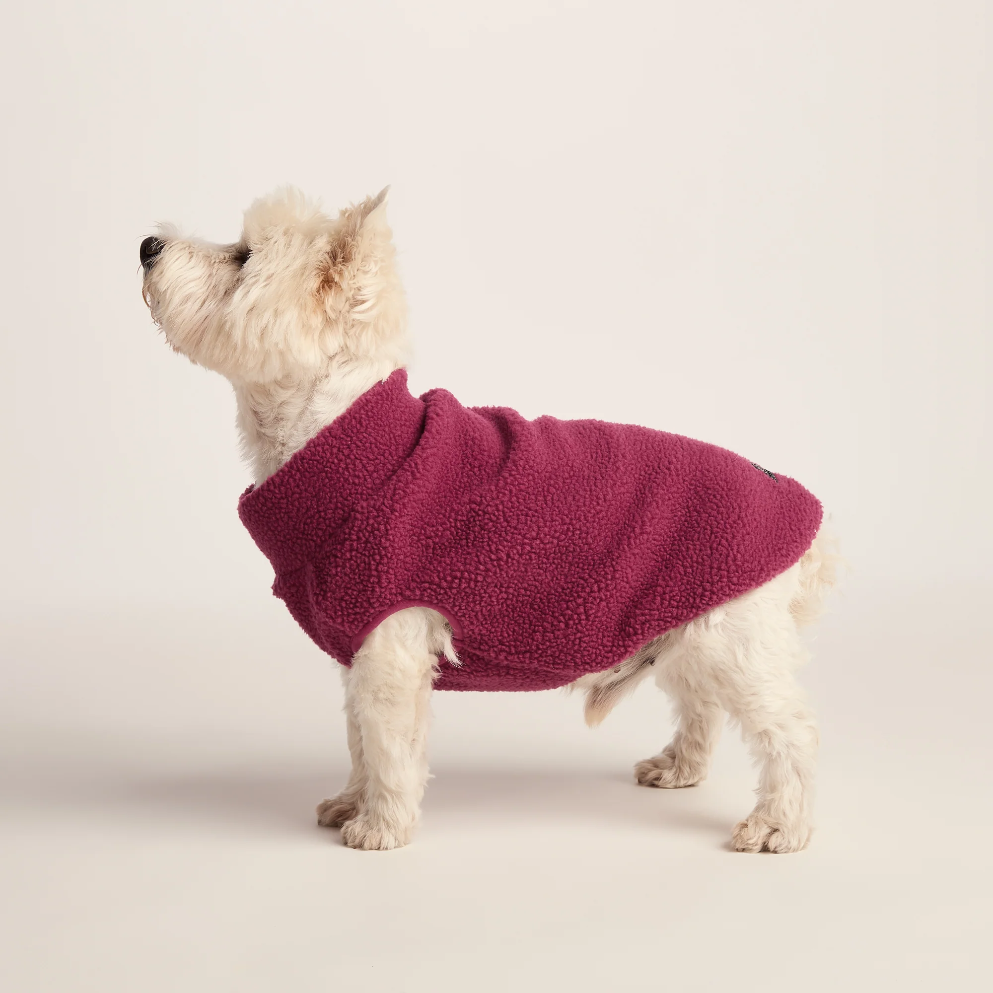Rover Sherpa Dog Coat S - Washed Burgundy - Image 4