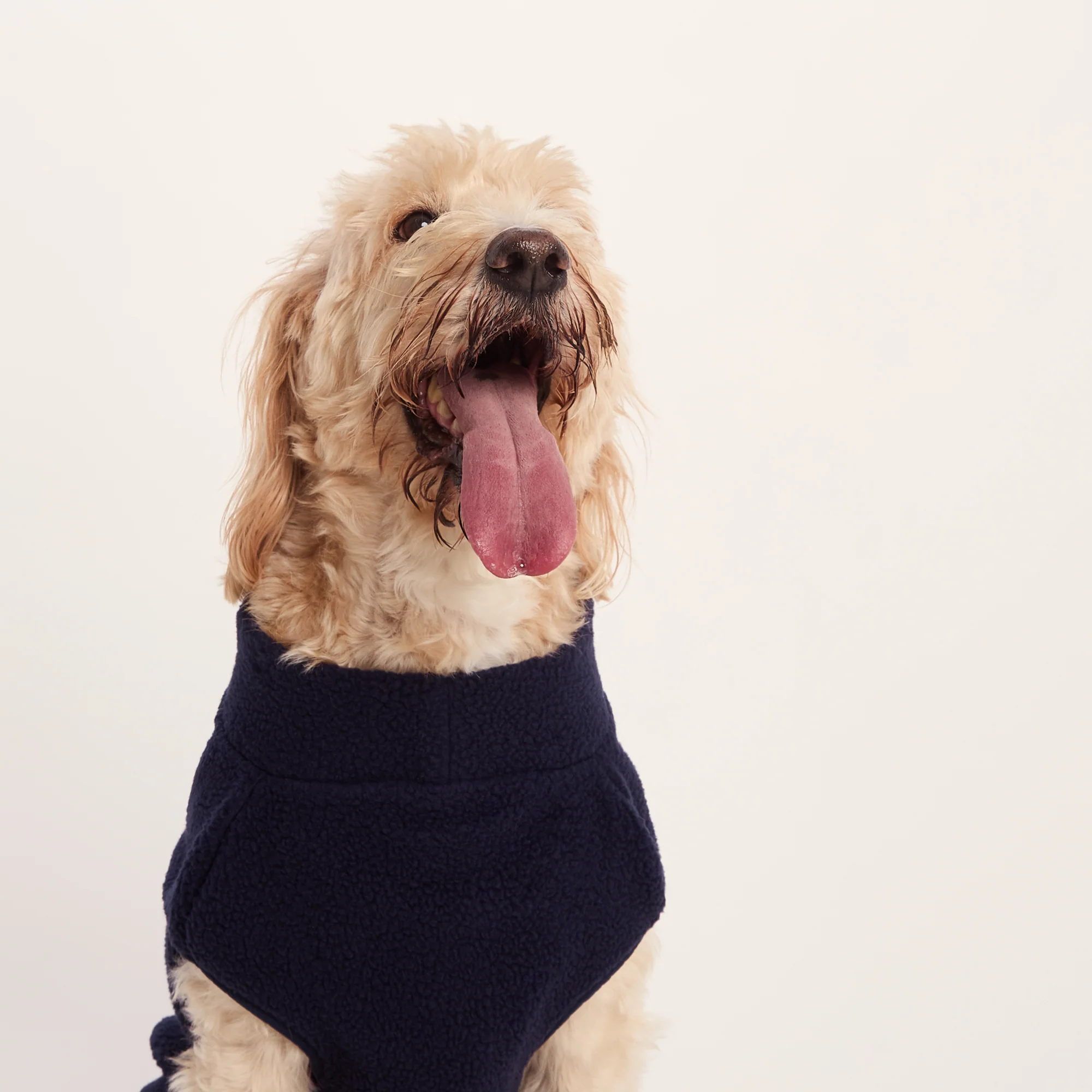Rover Sherpa Dog Coat XL - Oxford Blue - Image 4